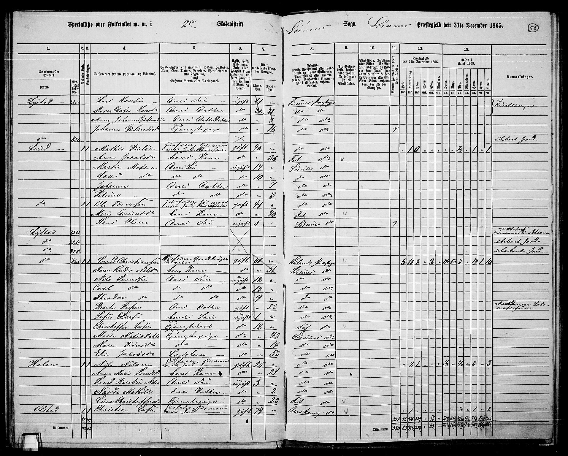 RA, 1865 census for Sørum, 1865, p. 56