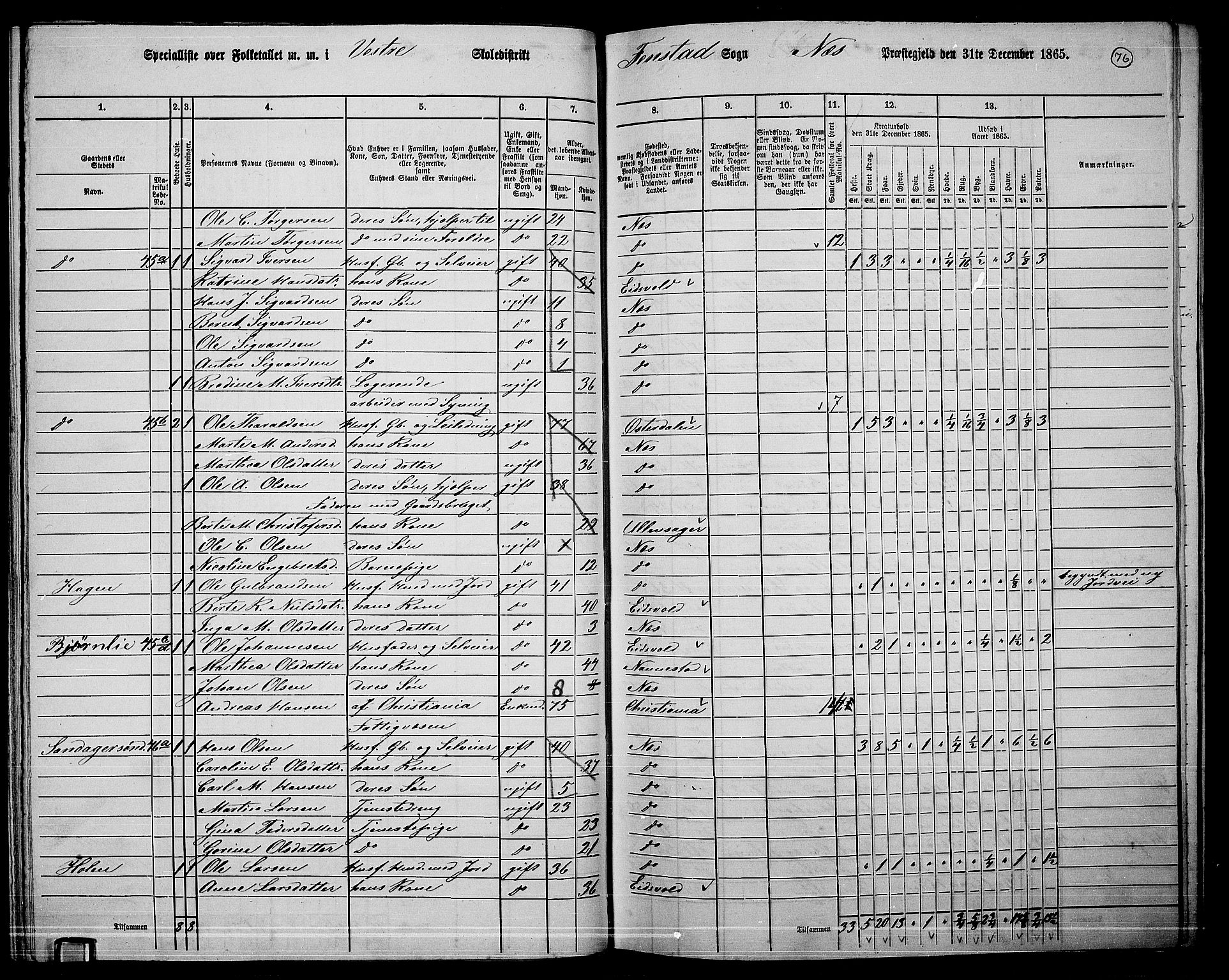 RA, 1865 census for Nes, 1865, p. 69