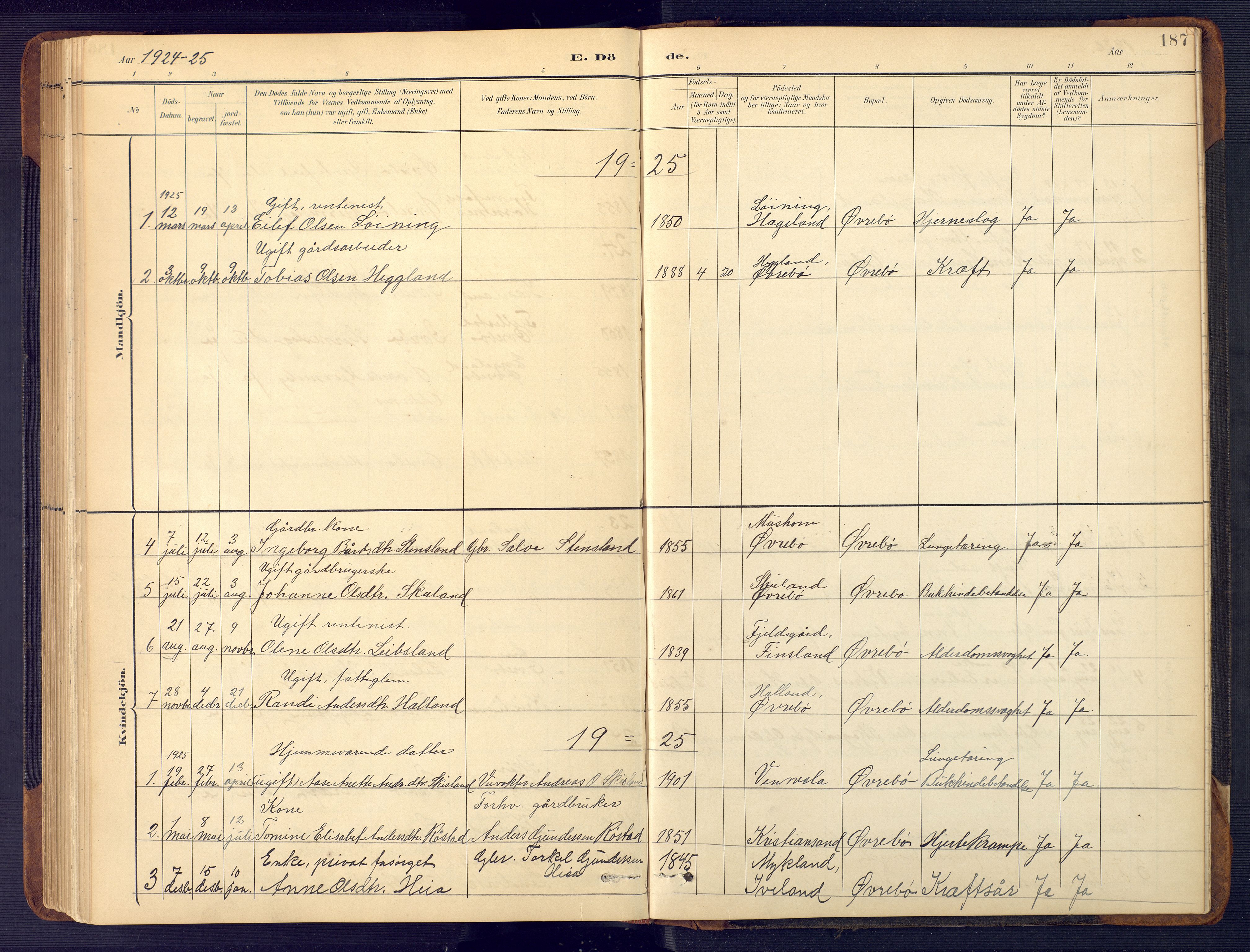 Vennesla sokneprestkontor, AV/SAK-1111-0045/Fb/Fbc/L0003: Parish register (copy) no. B 3, 1895-1946, p. 187