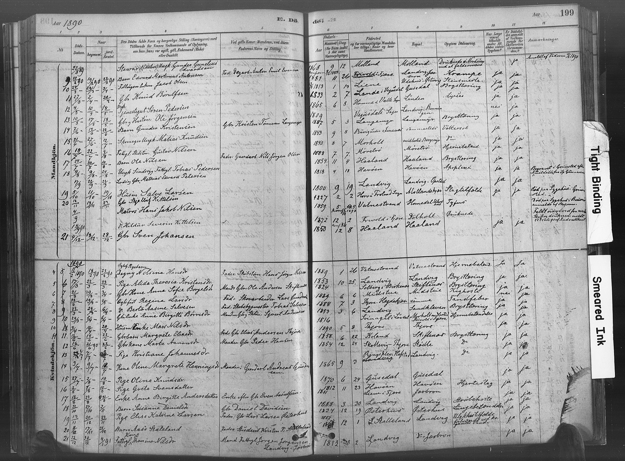 Hommedal sokneprestkontor, SAK/1111-0023/F/Fa/Fab/L0006: Parish register (official) no. A 6, 1878-1897, p. 199