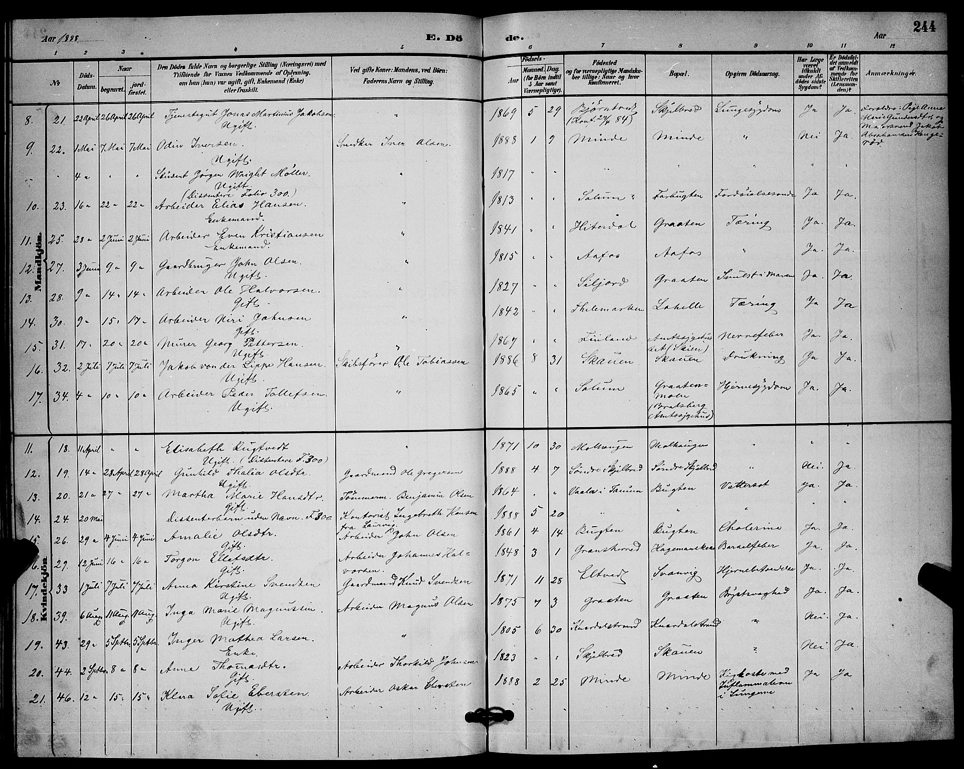 Solum kirkebøker, AV/SAKO-A-306/G/Ga/L0007: Parish register (copy) no. I 7, 1884-1898, p. 244