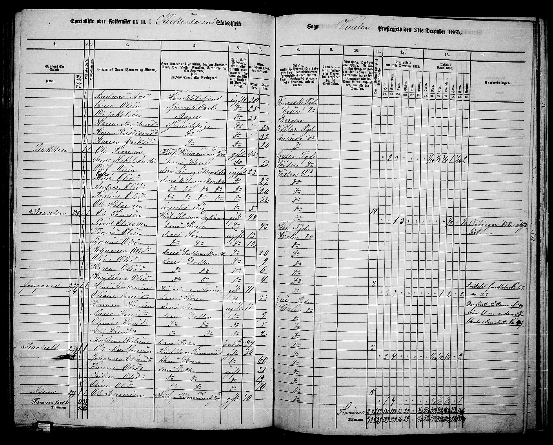 RA, 1865 census for Våler, 1865, p. 142