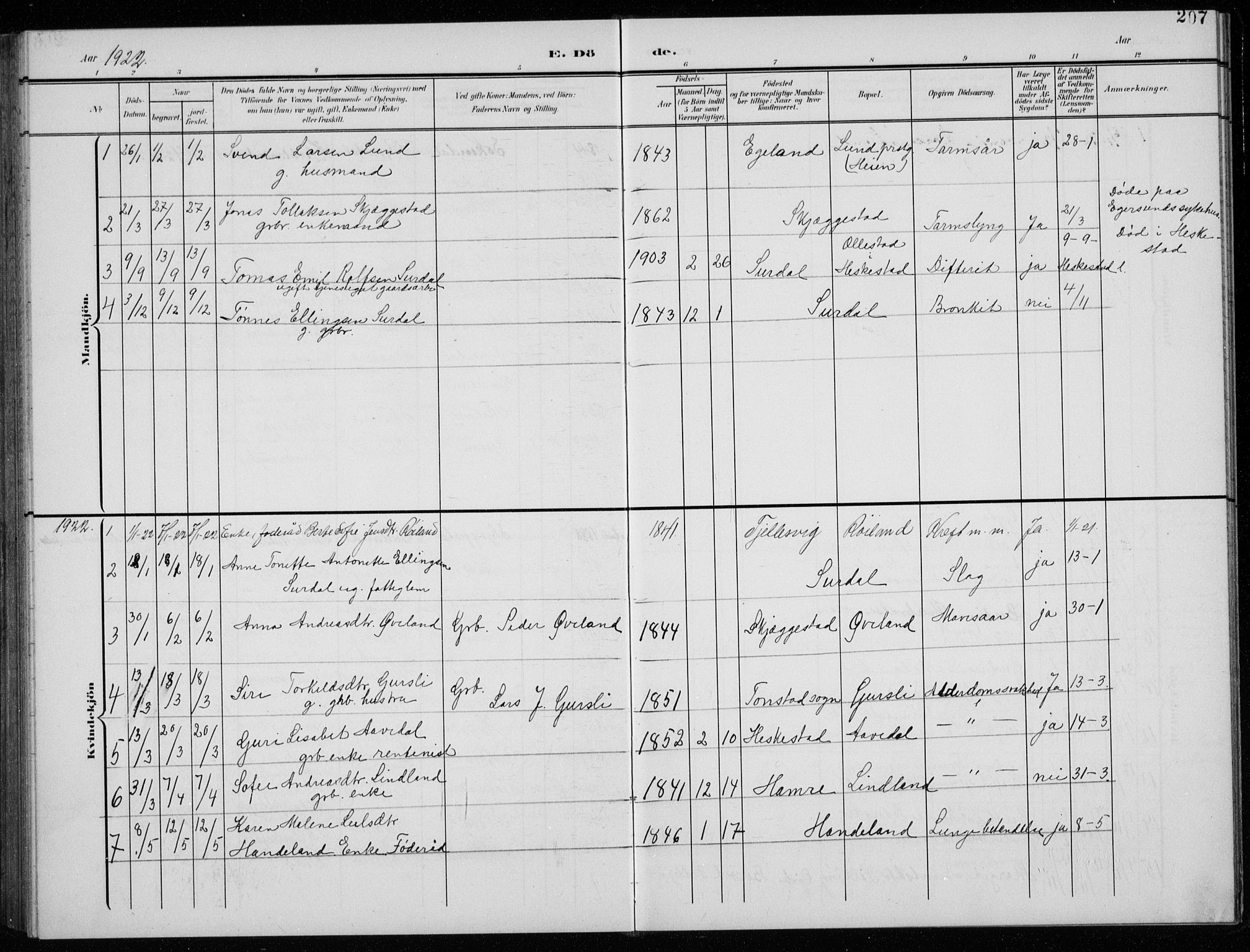 Lund sokneprestkontor, AV/SAST-A-101809/S07/L0008: Parish register (copy) no. B 8, 1902-1936, p. 207