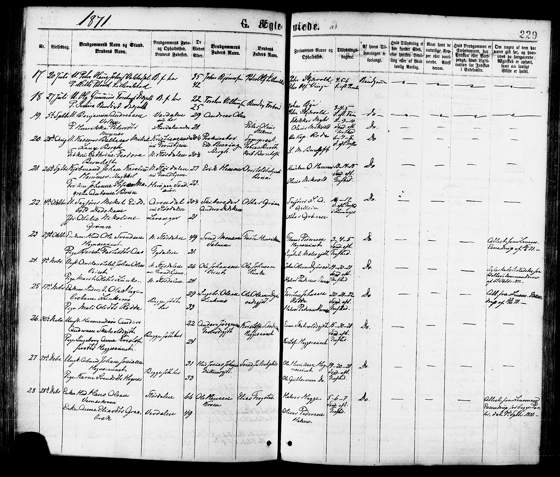 Ministerialprotokoller, klokkerbøker og fødselsregistre - Nord-Trøndelag, SAT/A-1458/709/L0076: Parish register (official) no. 709A16, 1871-1879, p. 229