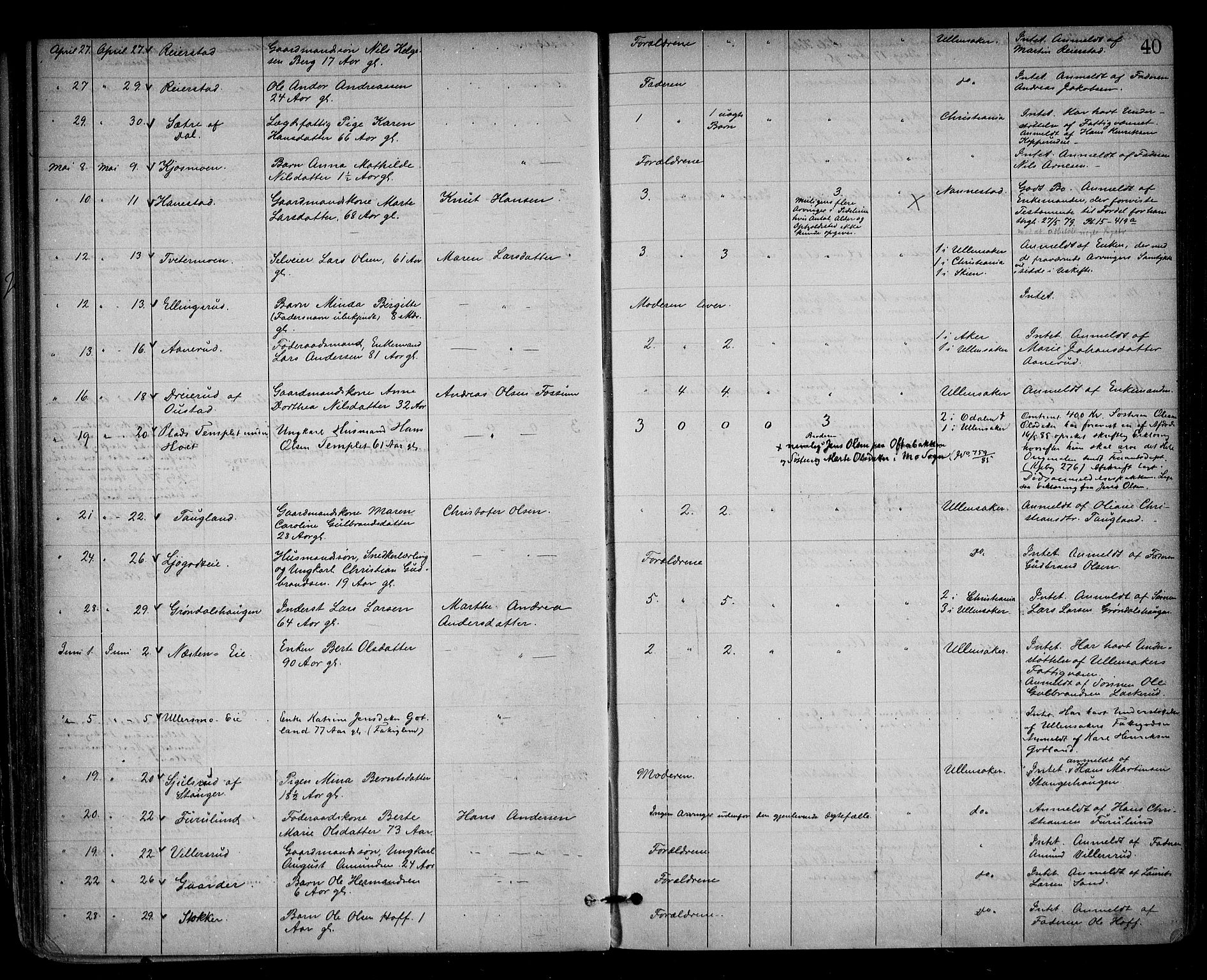 Nes tingrett, AV/SAO-A-10548/H/Ha/Haa/L0001: Dødsfallsprotokoll, 1876-1905, p. 40