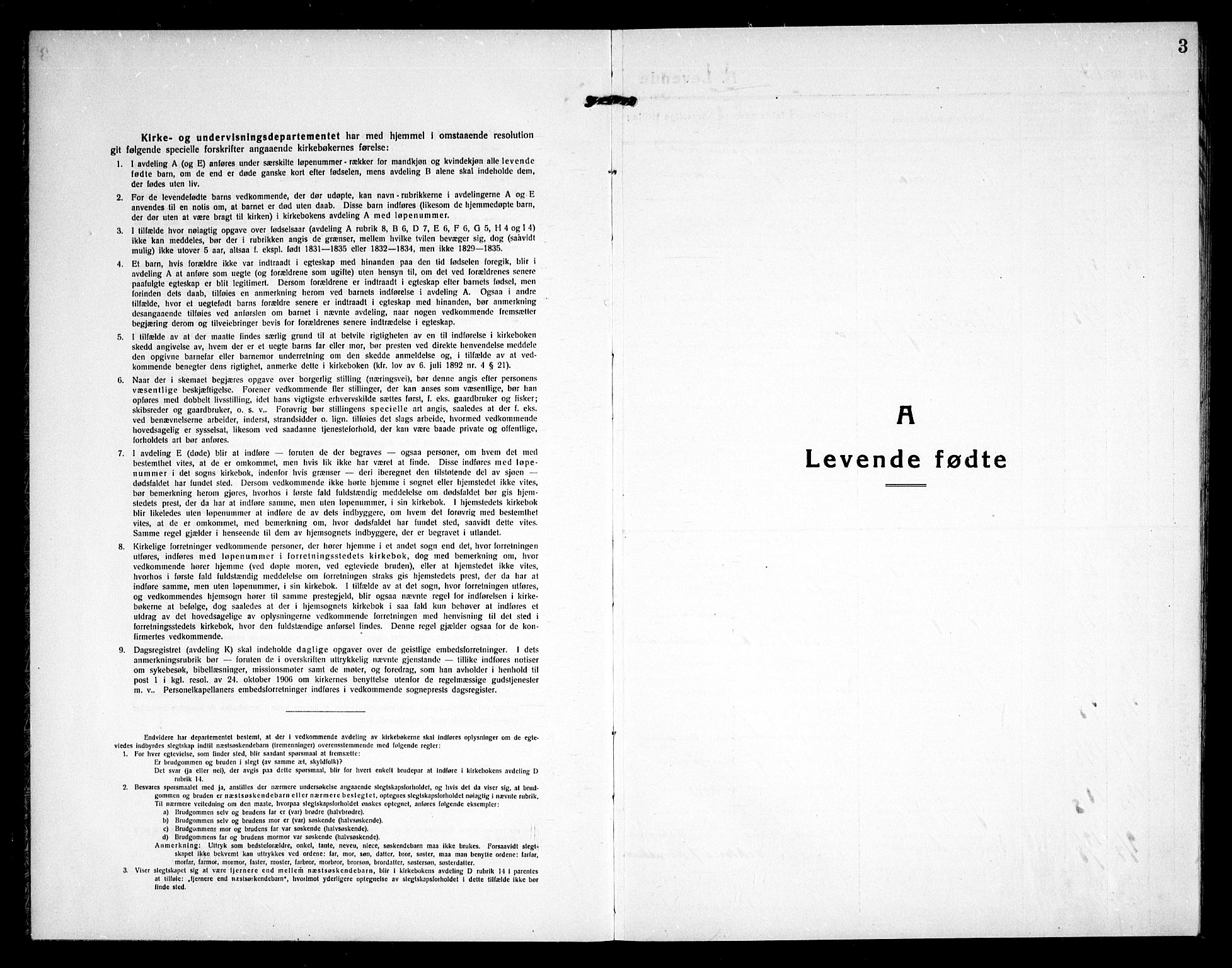 Skjeberg prestekontor Kirkebøker, SAO/A-10923/G/Gd/L0002: Parish register (copy) no. IV 2, 1917-1931, p. 3