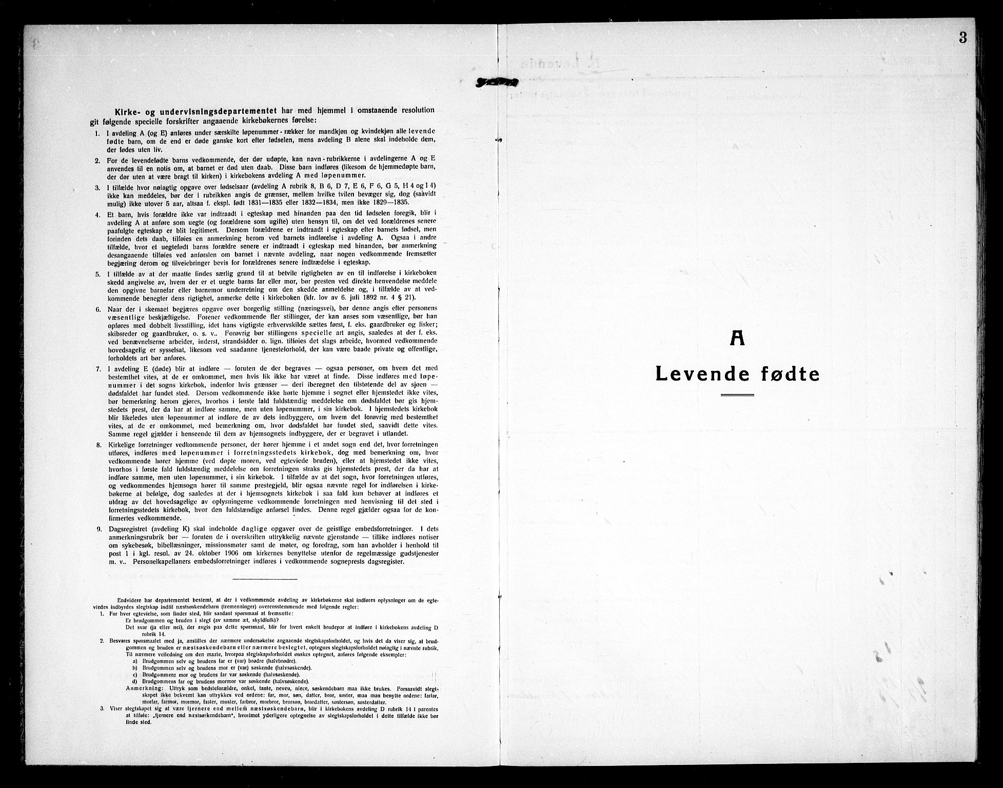 Skjeberg prestekontor Kirkebøker, AV/SAO-A-10923/G/Gd/L0002: Parish register (copy) no. IV 2, 1917-1931, p. 3