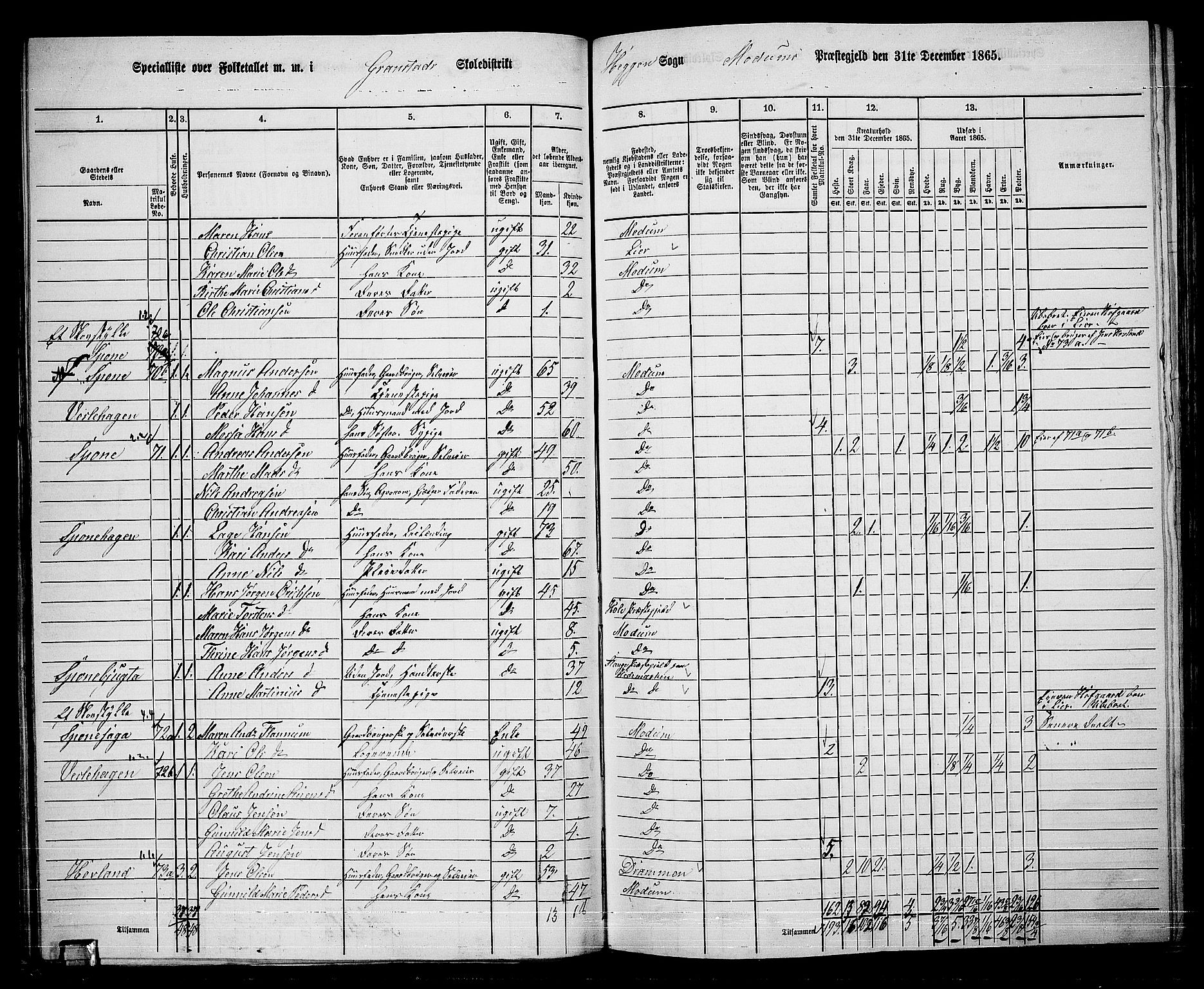 RA, 1865 census for Modum, 1865, p. 59