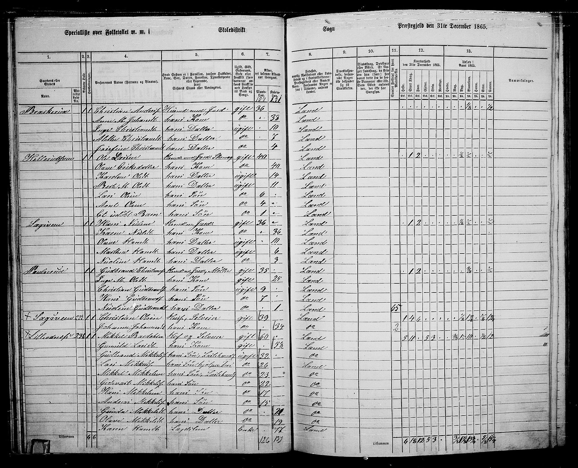 RA, 1865 census for Land, 1865, p. 251