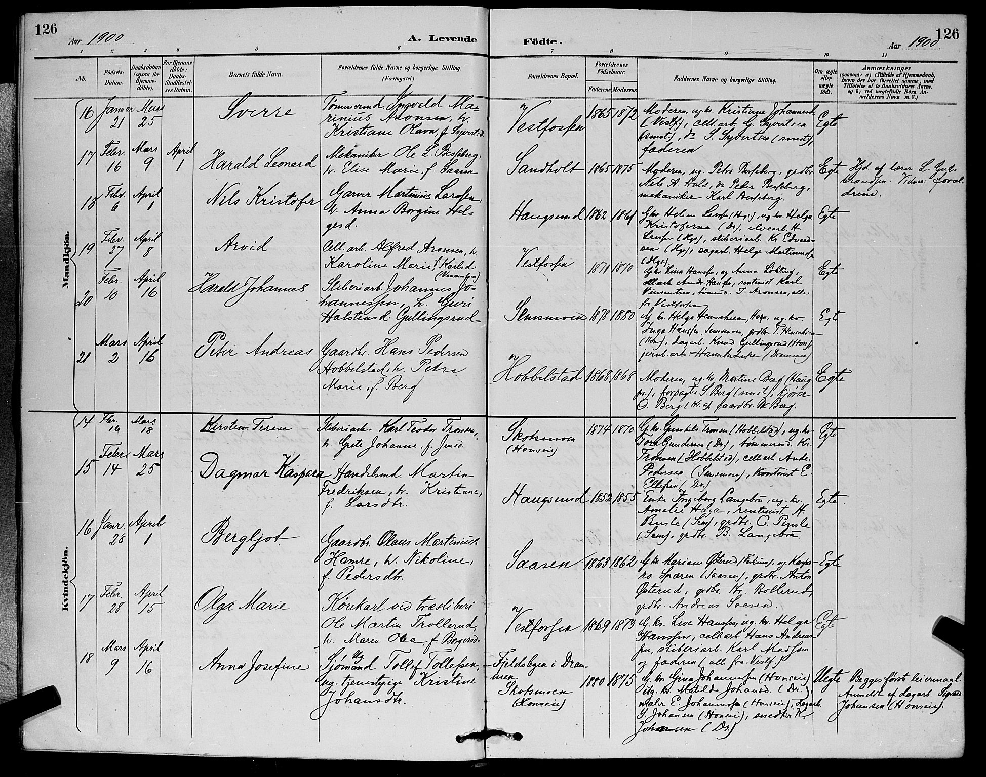 Eiker kirkebøker, SAKO/A-4/G/Ga/L0007: Parish register (copy) no. I 7, 1893-1902, p. 126