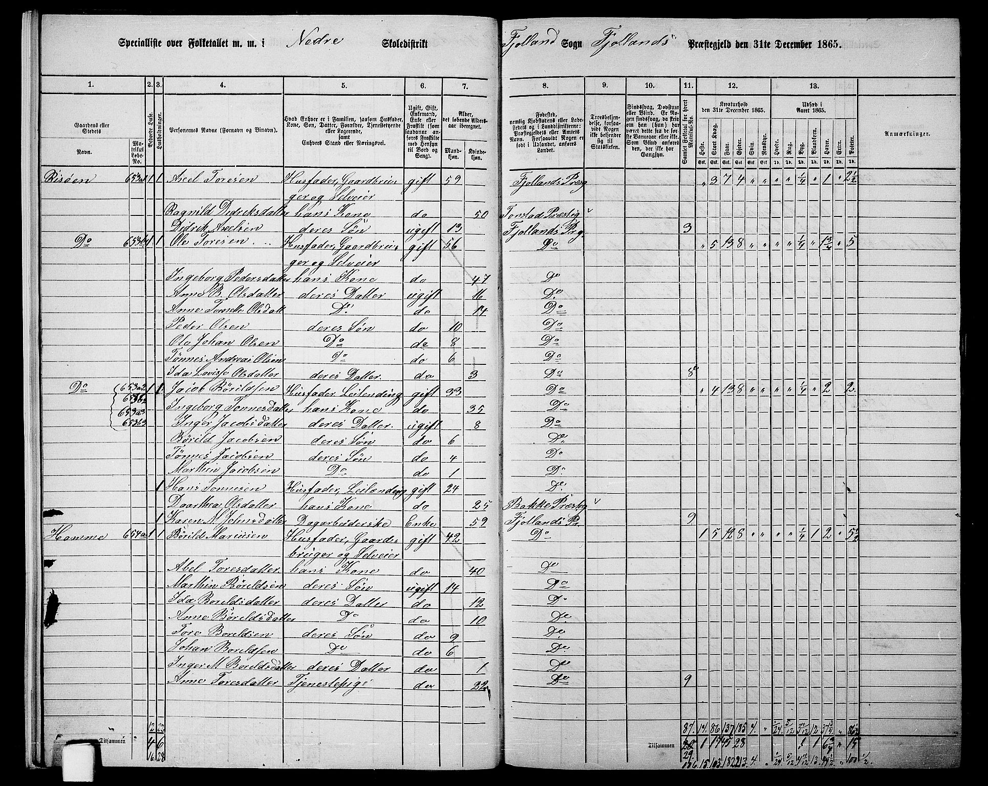 RA, 1865 census for Fjotland, 1865, p. 14