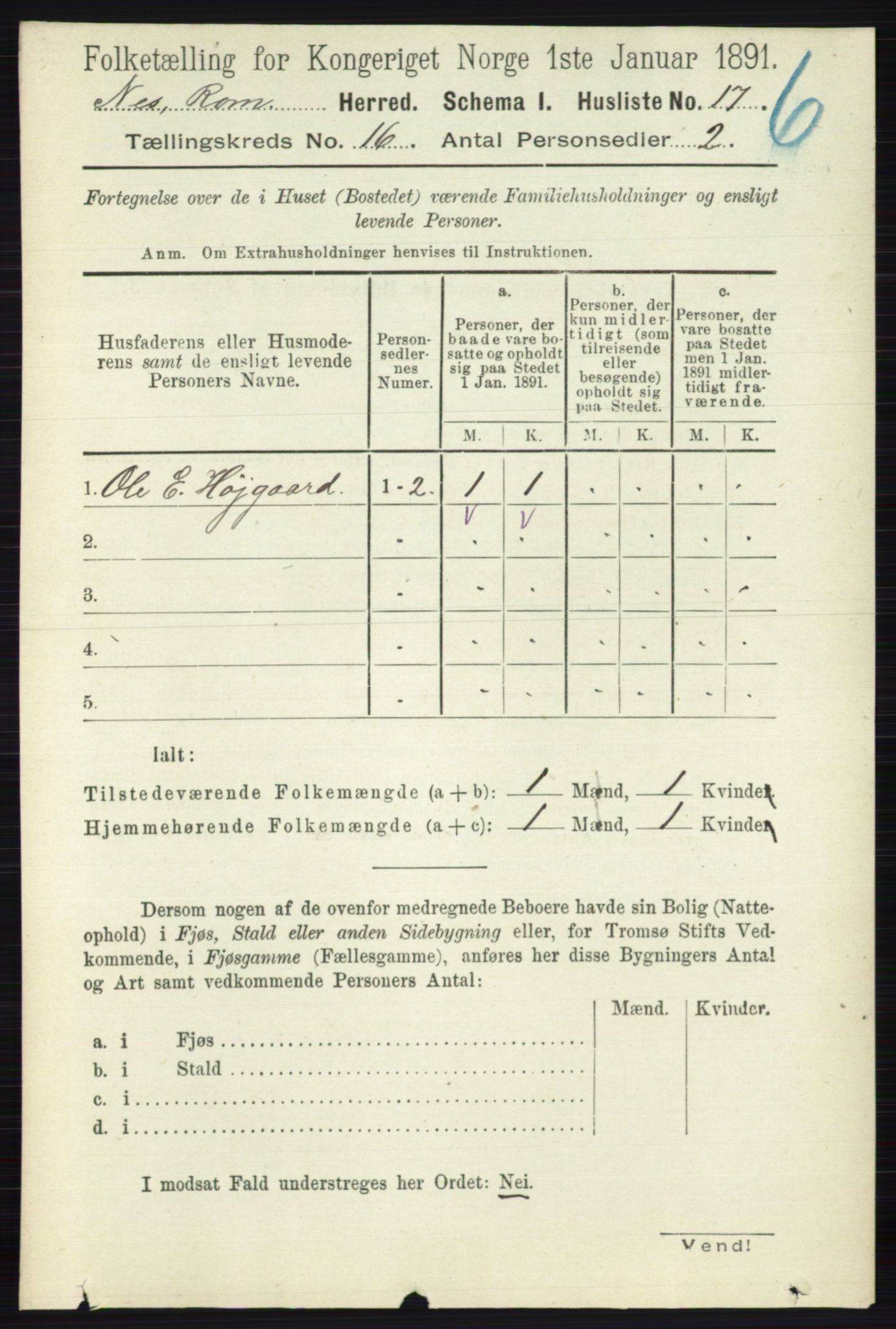 RA, 1891 census for 0236 Nes, 1891, p. 9515