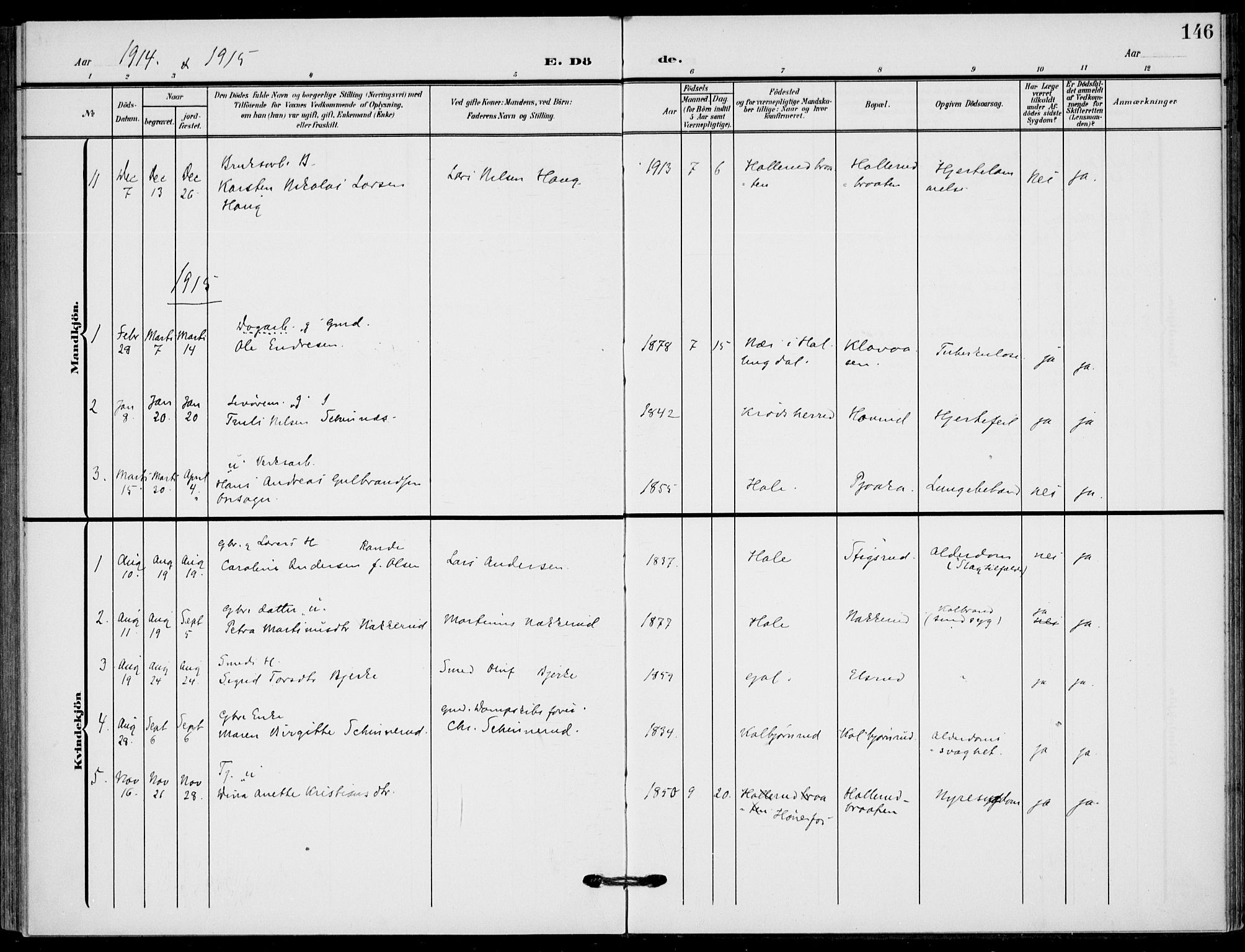 Hole kirkebøker, SAKO/A-228/F/Fb/L0003: Parish register (official) no. II 3, 1906-1916, p. 146