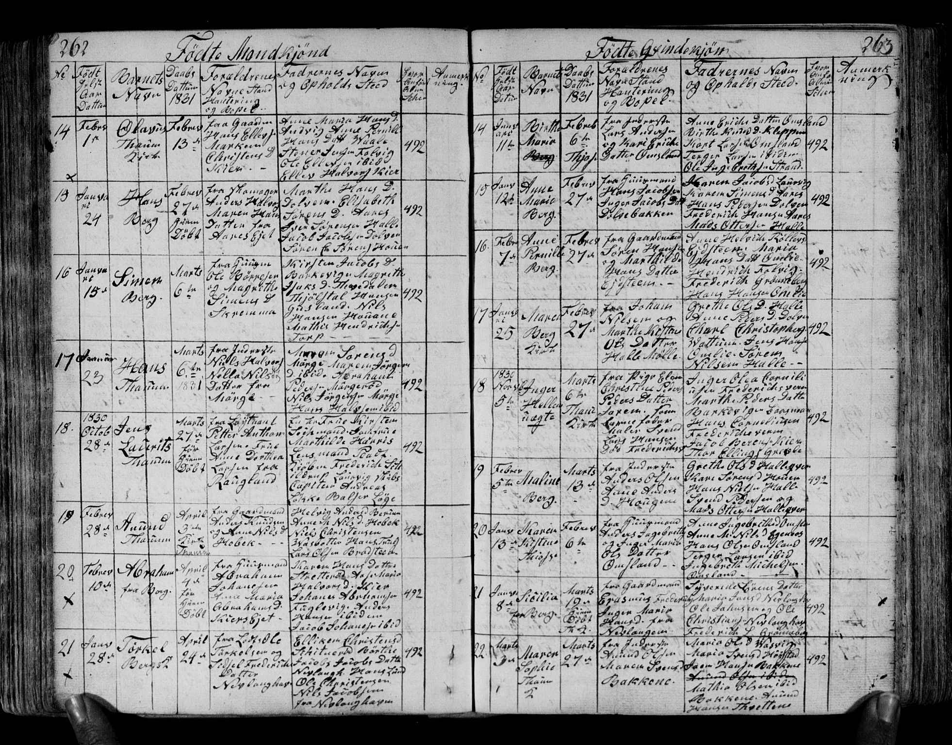 Brunlanes kirkebøker, AV/SAKO-A-342/F/Fa/L0002: Parish register (official) no. I 2, 1802-1834, p. 262-263