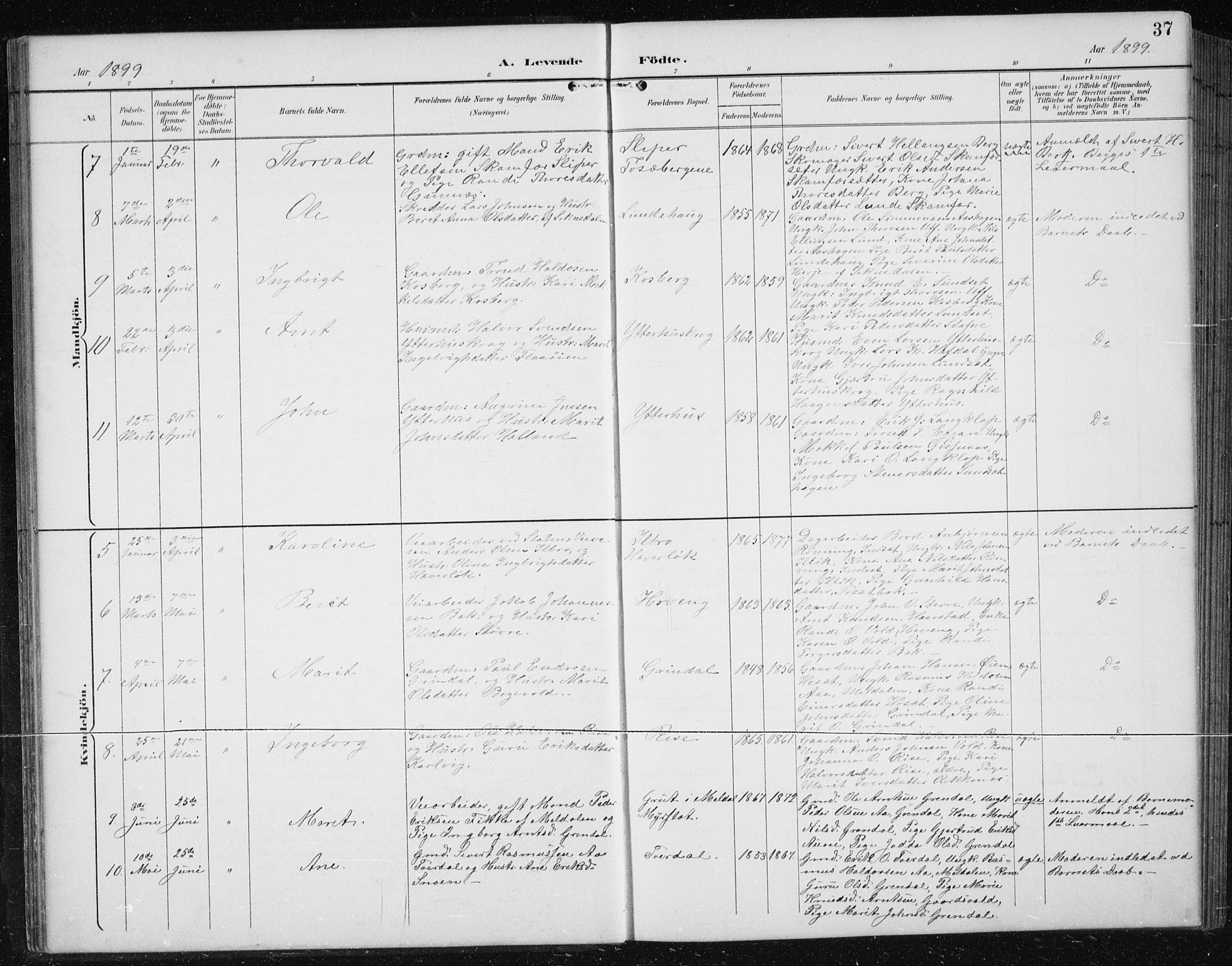 Ministerialprotokoller, klokkerbøker og fødselsregistre - Sør-Trøndelag, SAT/A-1456/674/L0876: Parish register (copy) no. 674C03, 1892-1912, p. 37