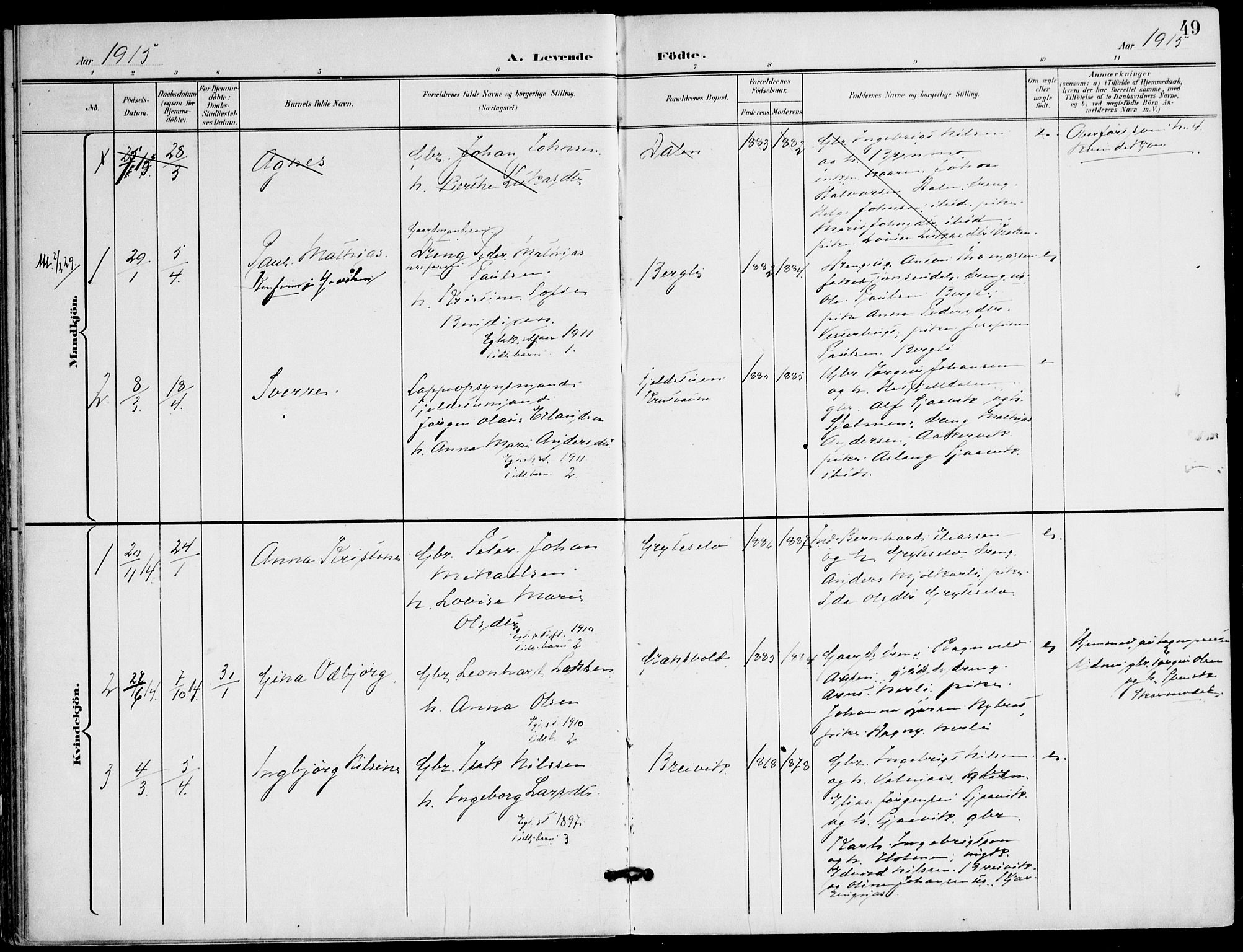 Ministerialprotokoller, klokkerbøker og fødselsregistre - Nordland, AV/SAT-A-1459/823/L0326: Parish register (official) no. 823A03, 1899-1919, p. 49