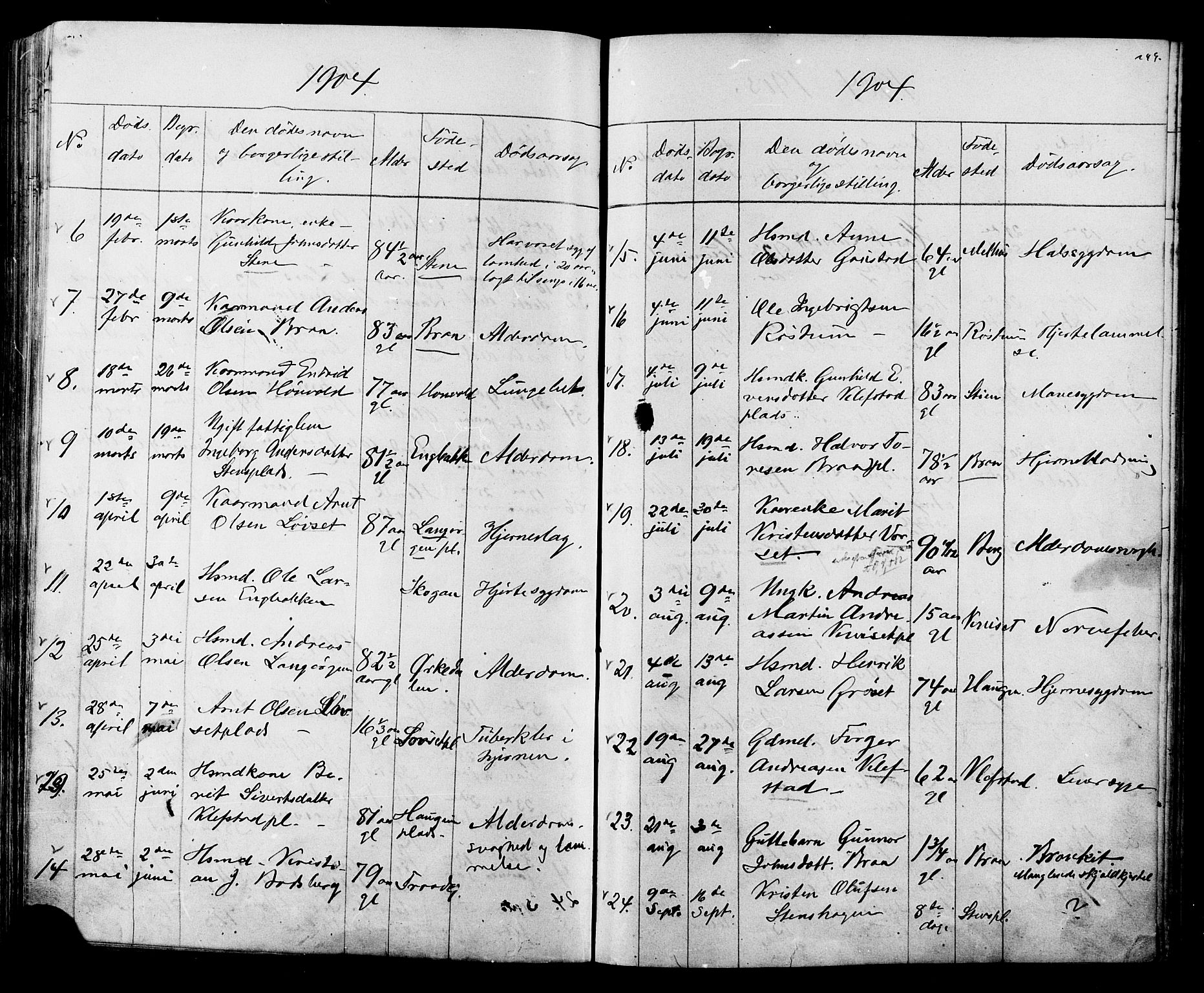 Ministerialprotokoller, klokkerbøker og fødselsregistre - Sør-Trøndelag, SAT/A-1456/612/L0387: Parish register (copy) no. 612C03, 1874-1908, p. 249