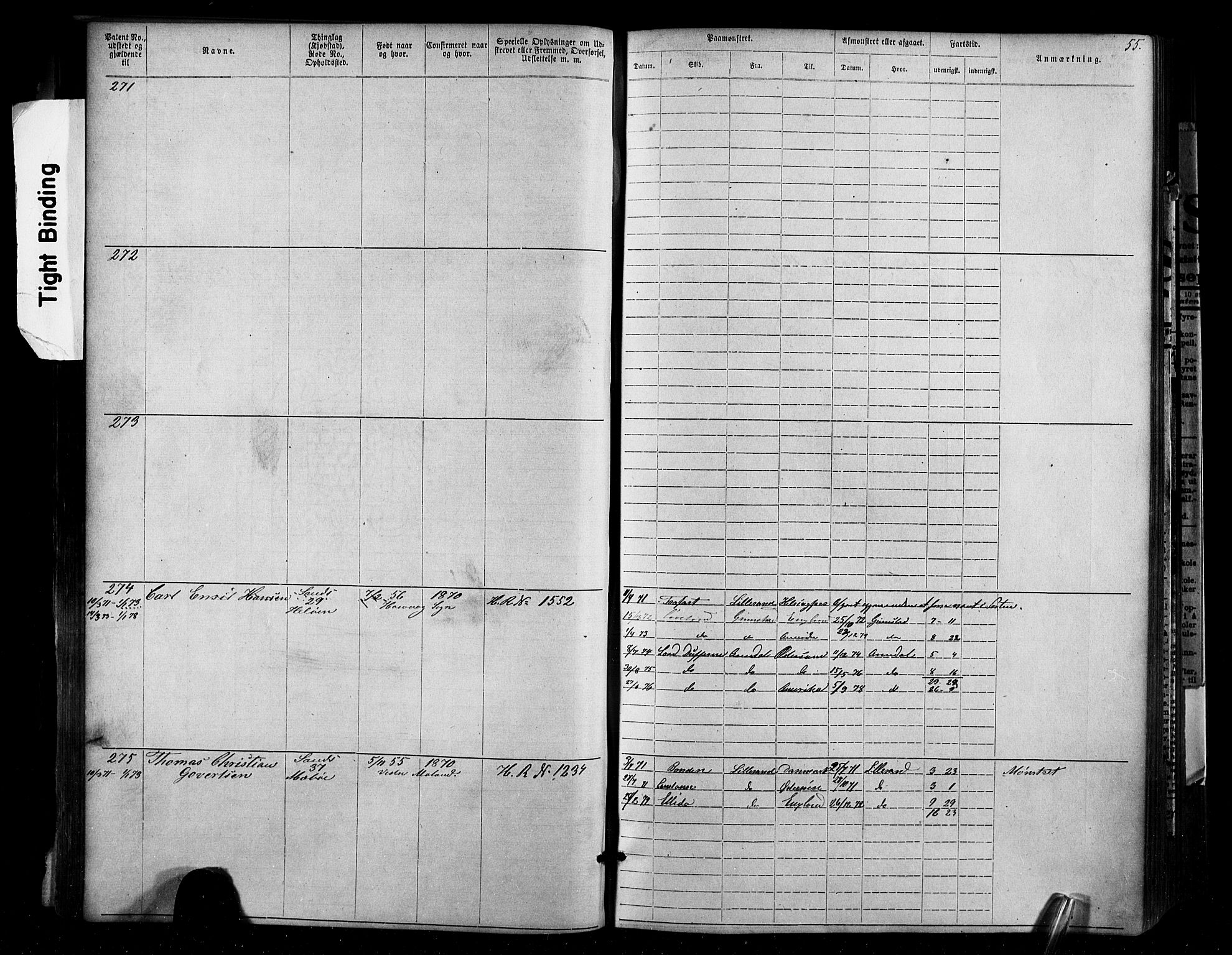 Lillesand mønstringskrets, SAK/2031-0014/F/Fa/L0002: Annotasjonsrulle nr 1-1910 med register, W-8, 1868-1891, p. 65