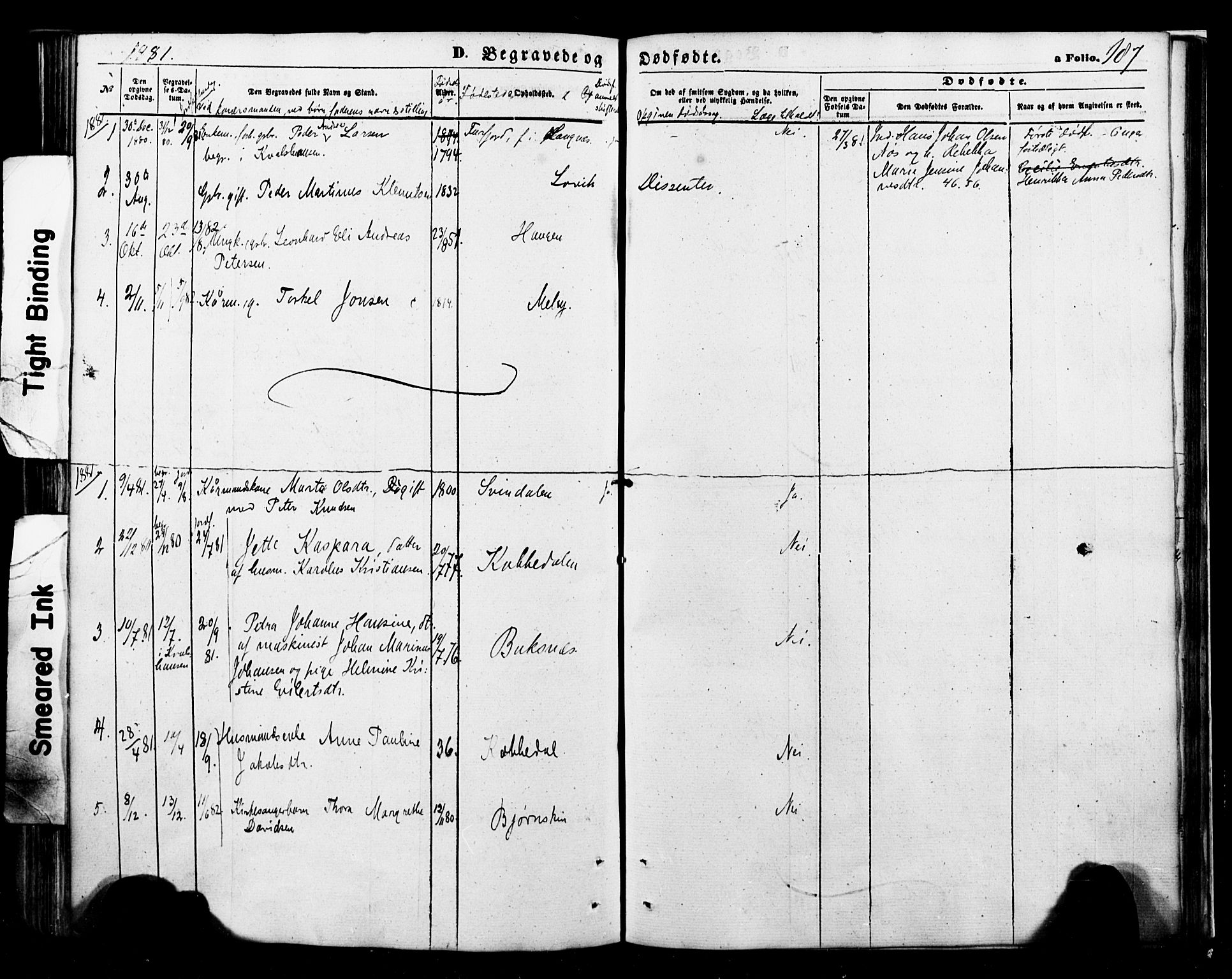 Ministerialprotokoller, klokkerbøker og fødselsregistre - Nordland, AV/SAT-A-1459/898/L1421: Parish register (official) no. 898A01, 1866-1886, p. 187