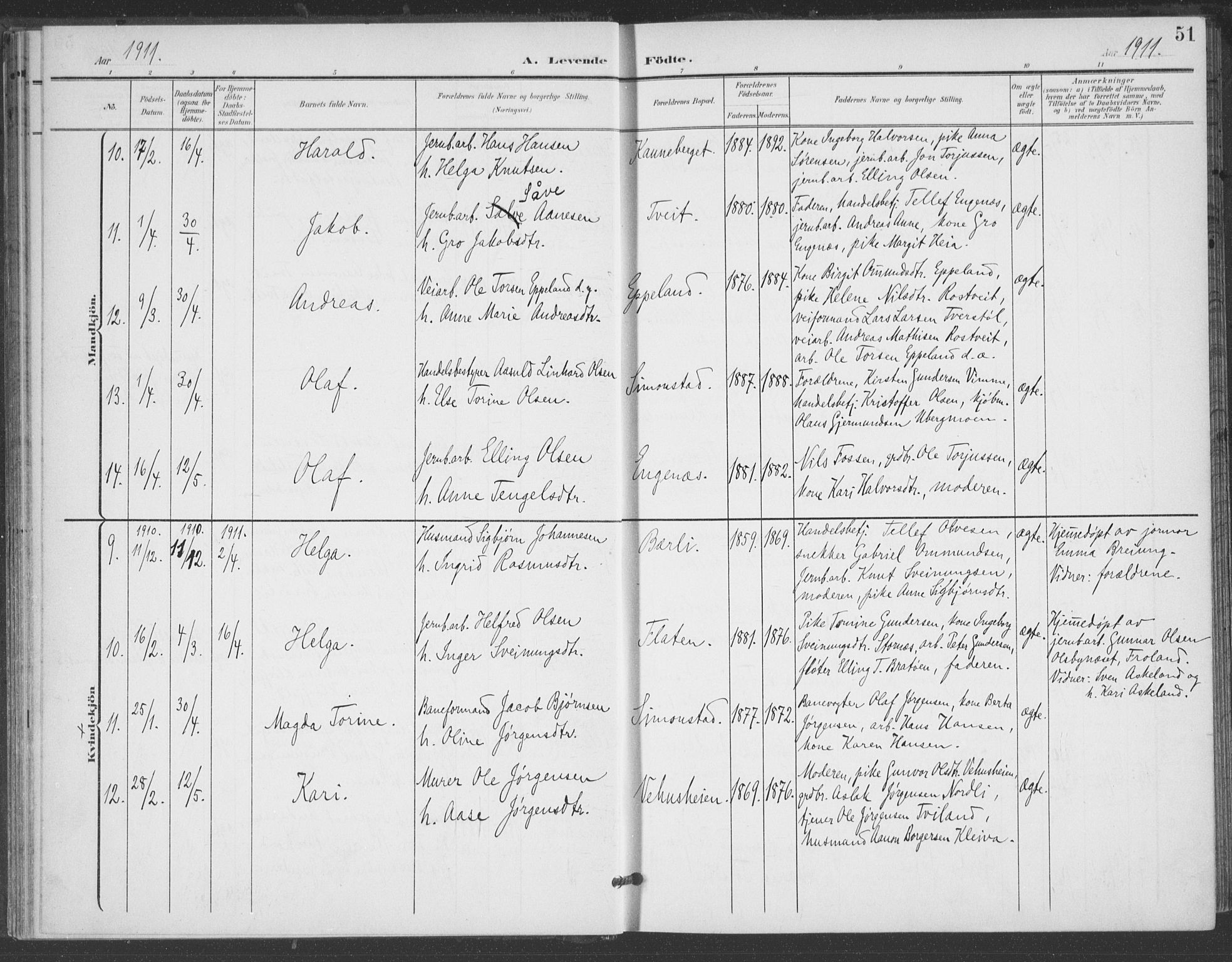 Åmli sokneprestkontor, AV/SAK-1111-0050/F/Fa/Fac/L0012: Parish register (official) no. A 12, 1900-1914, p. 51