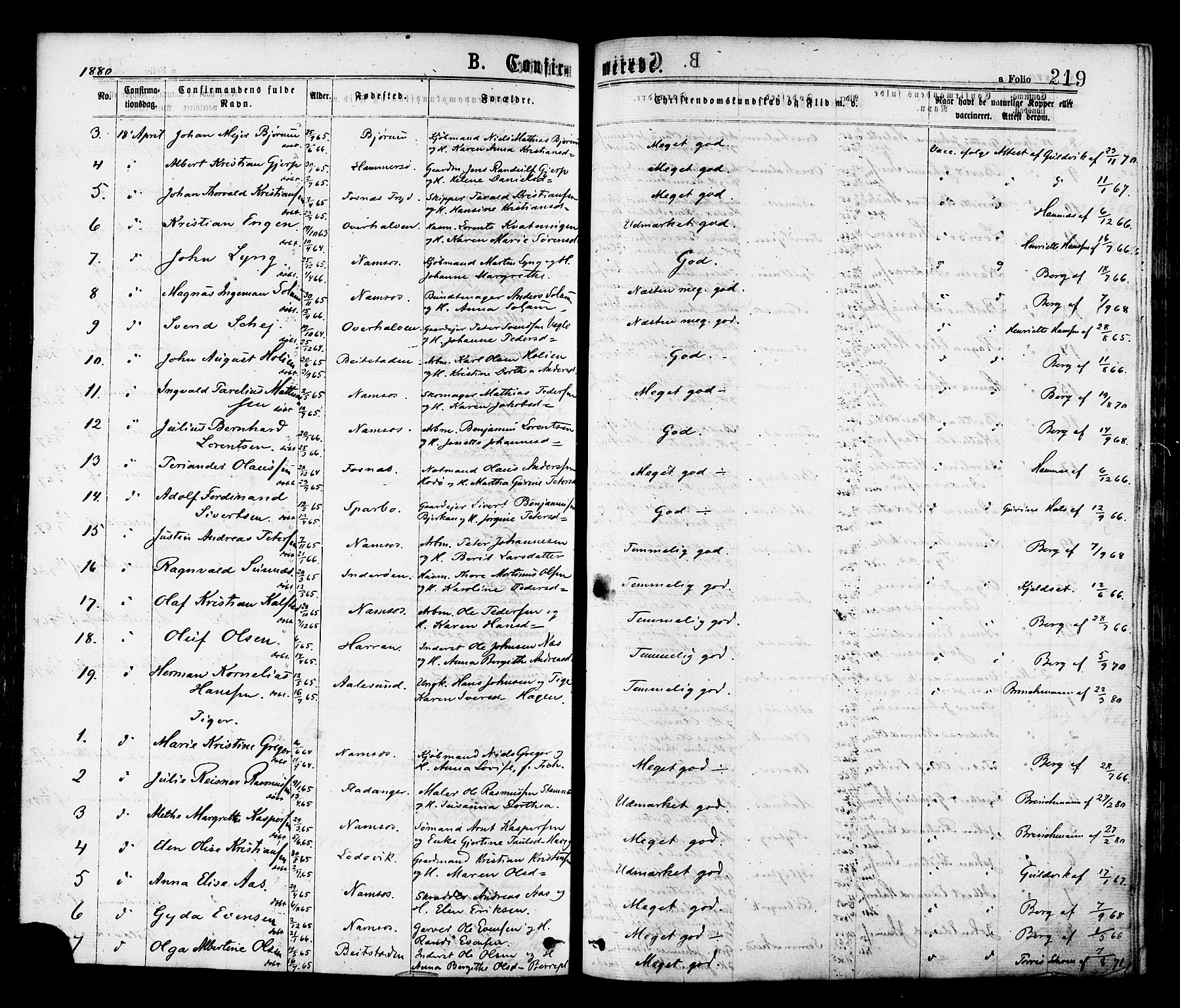 Ministerialprotokoller, klokkerbøker og fødselsregistre - Nord-Trøndelag, SAT/A-1458/768/L0572: Parish register (official) no. 768A07, 1874-1886, p. 219