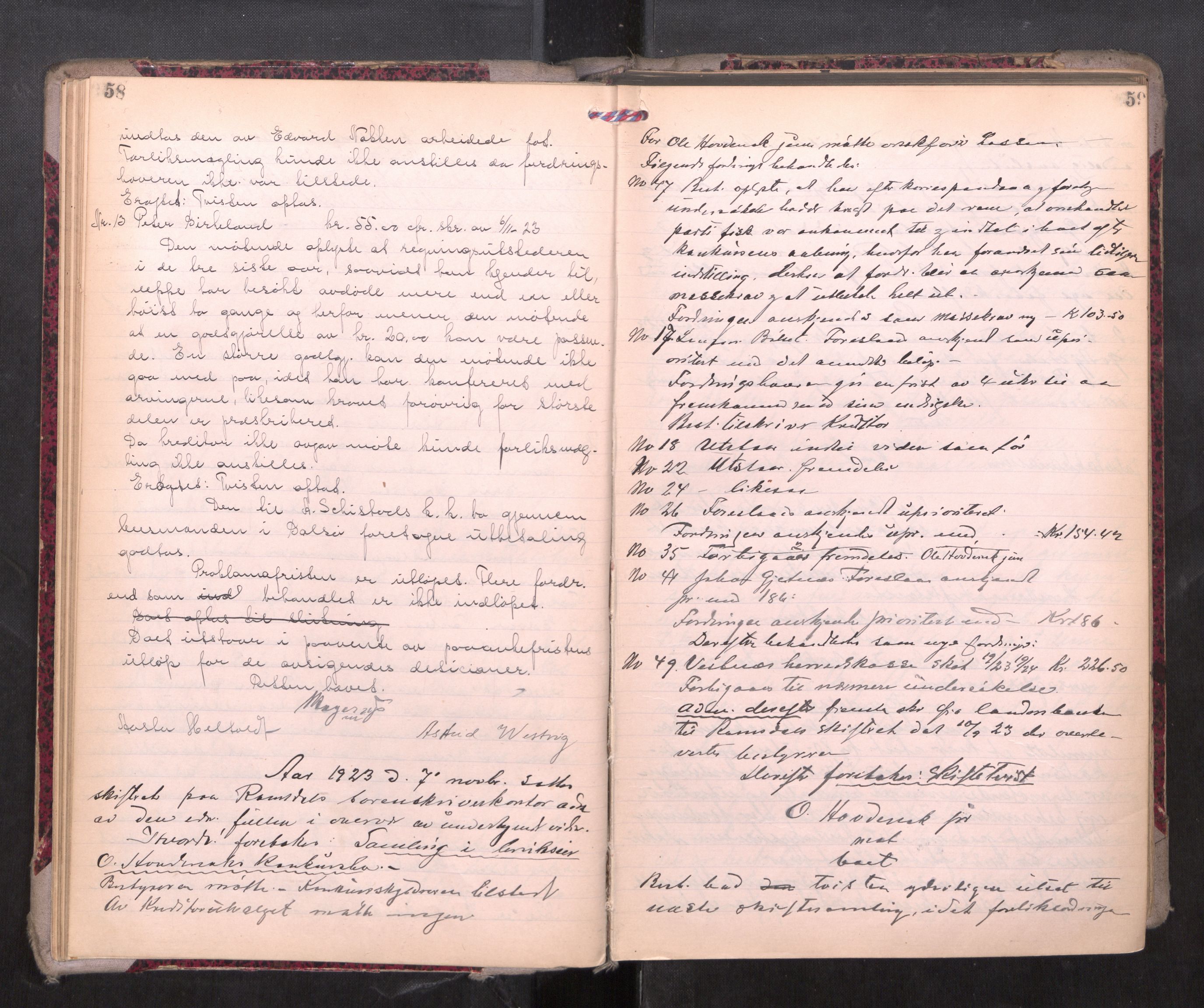 Romsdal sorenskriveri, AV/SAT-A-4149/1/3/3B/L0010: Skiftebehandlingsprotokoll, 1923-1925, p. 58-59