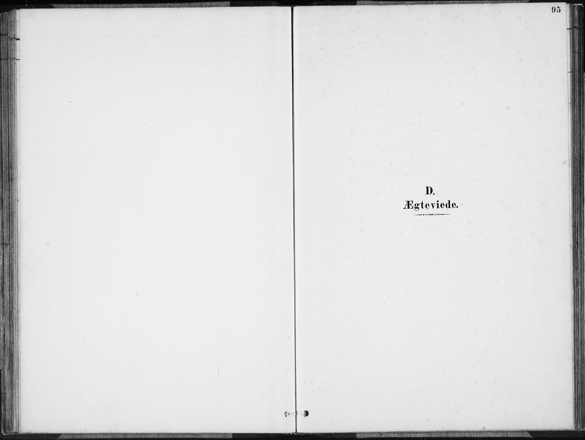 Herad sokneprestkontor, SAK/1111-0018/F/Fa/Faa/L0006: Parish register (official) no. A 6, 1887-1907, p. 95