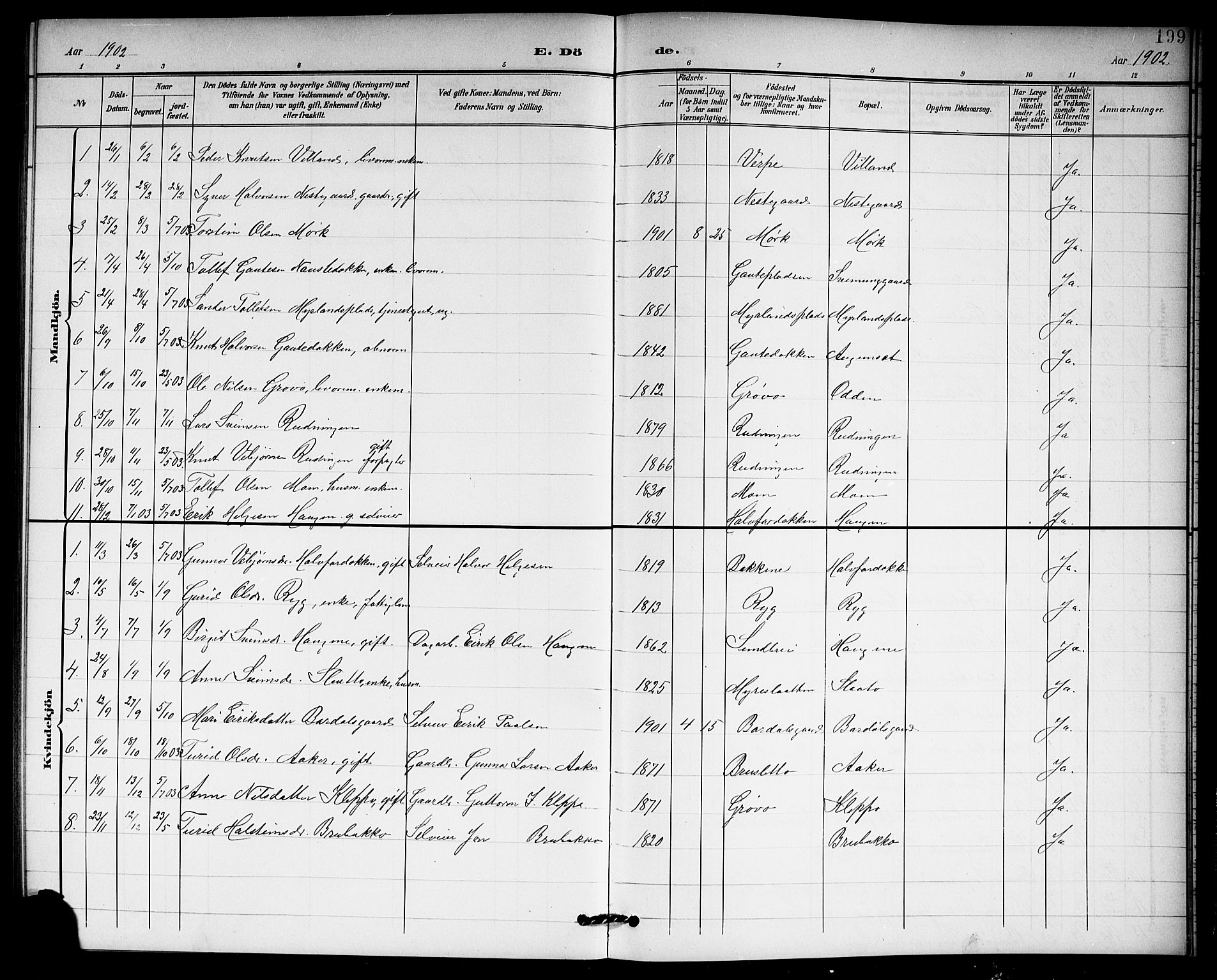 Hol kirkebøker, AV/SAKO-A-227/G/Ga/L0001: Parish register (copy) no. I 1, 1900-1919, p. 199