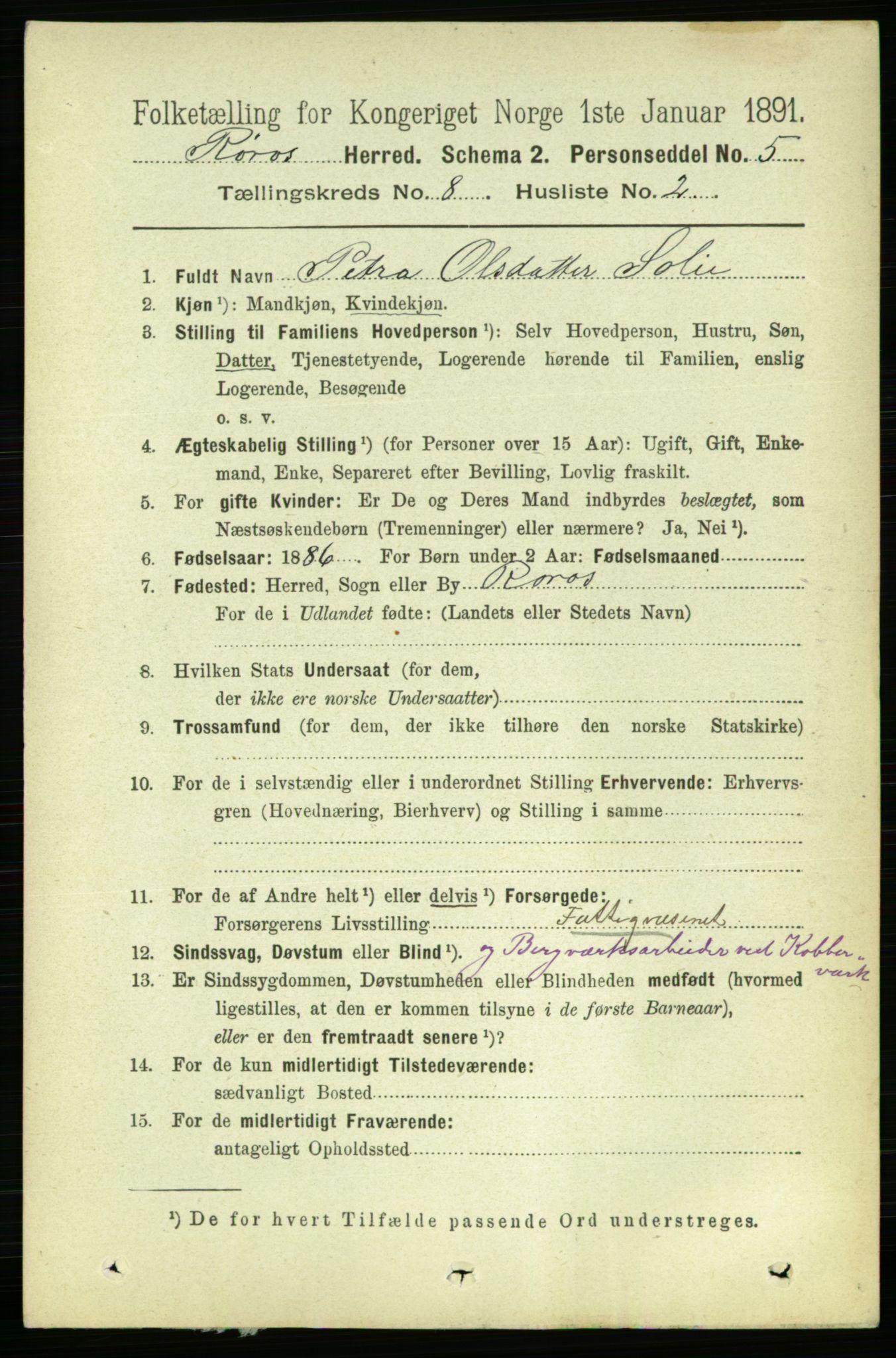 RA, 1891 census for 1640 Røros, 1891, p. 1615