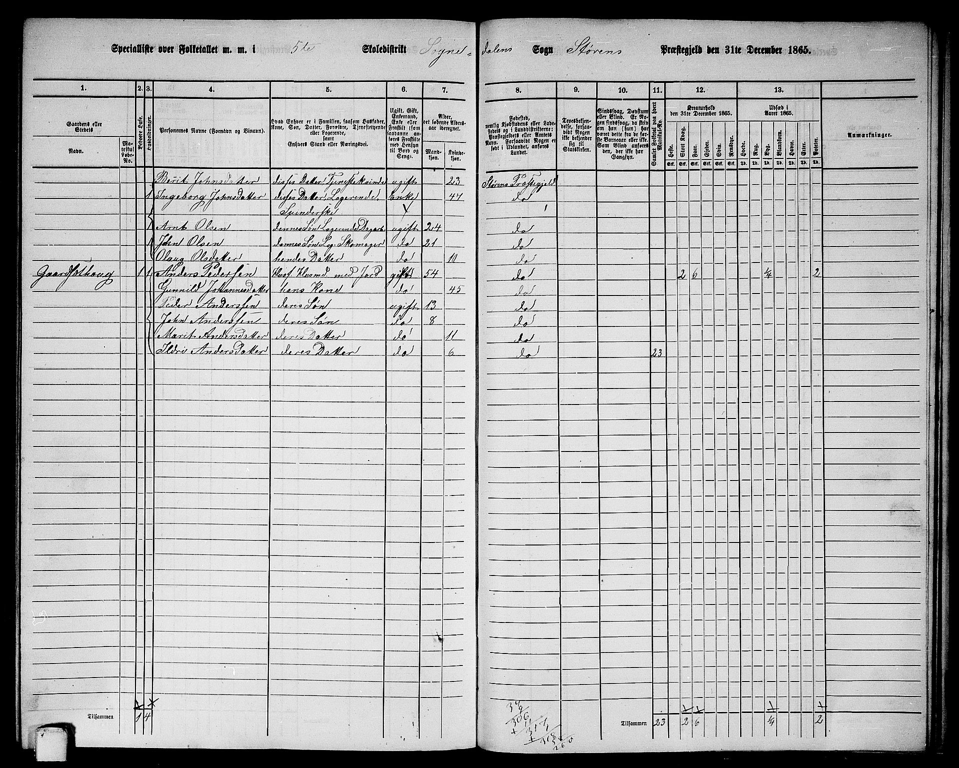 RA, 1865 census for Støren, 1865, p. 296