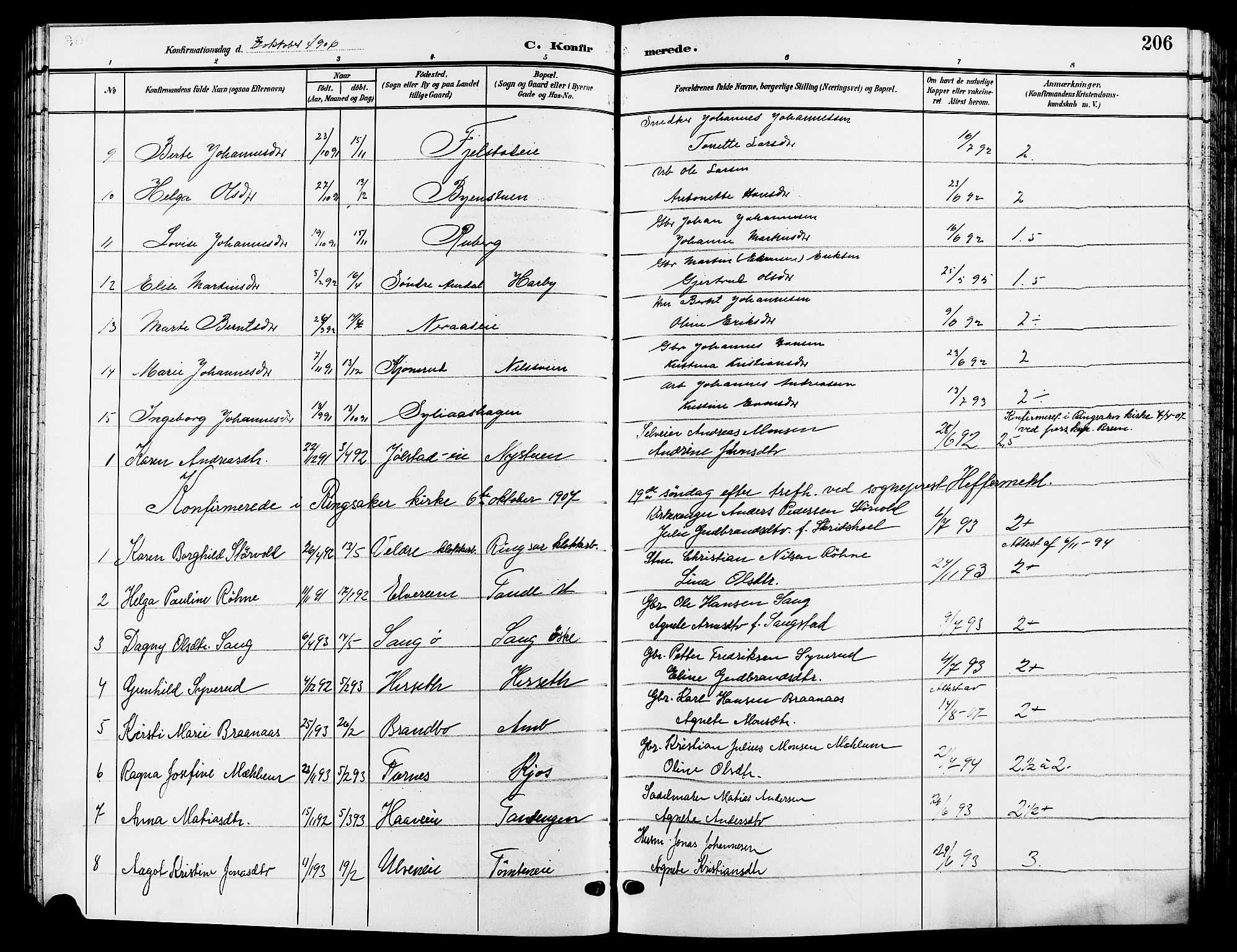 Ringsaker prestekontor, SAH/PREST-014/L/La/L0015: Parish register (copy) no. 15, 1903-1912, p. 206
