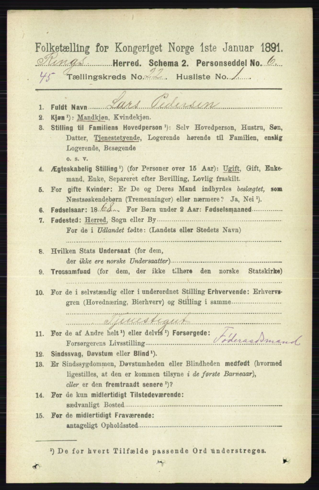 RA, 1891 census for 0412 Ringsaker, 1891, p. 12377