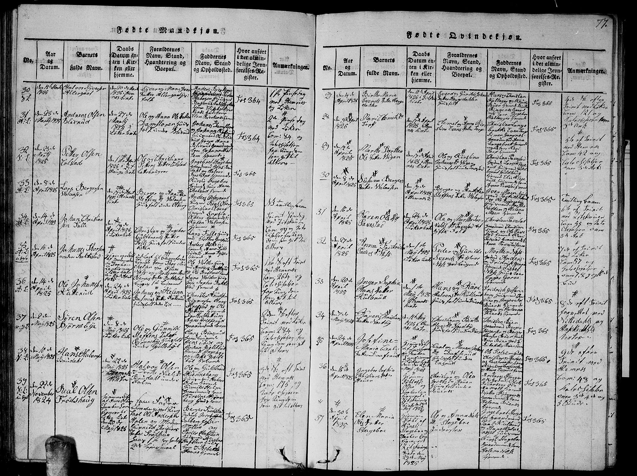 Høland prestekontor Kirkebøker, AV/SAO-A-10346a/G/Ga/L0001: Parish register (copy) no. I 1, 1814-1827, p. 77