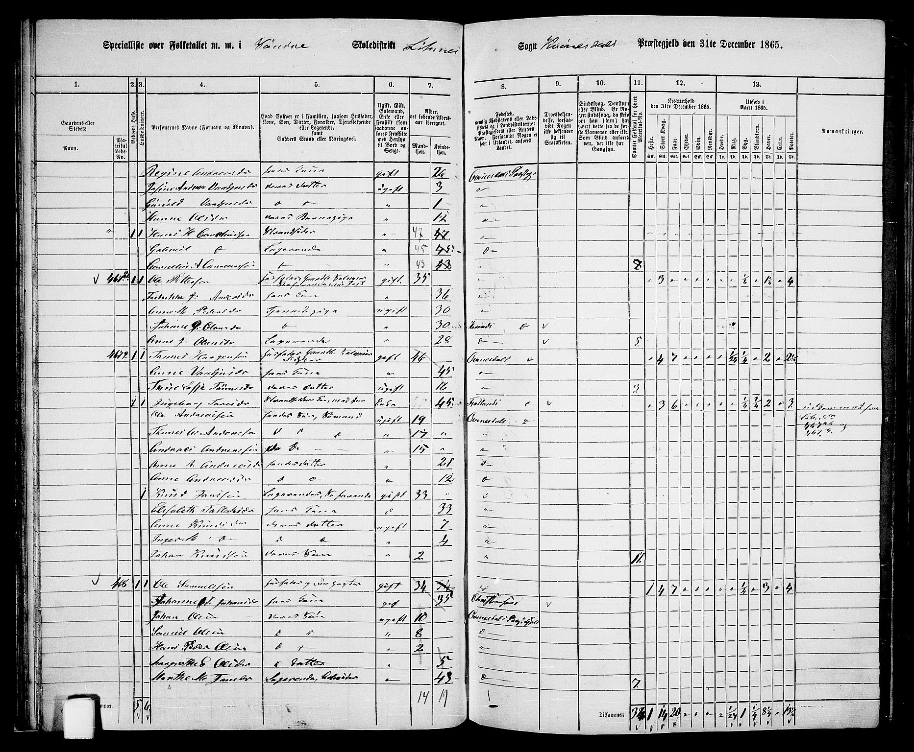 RA, 1865 census for Kvinesdal, 1865, p. 51