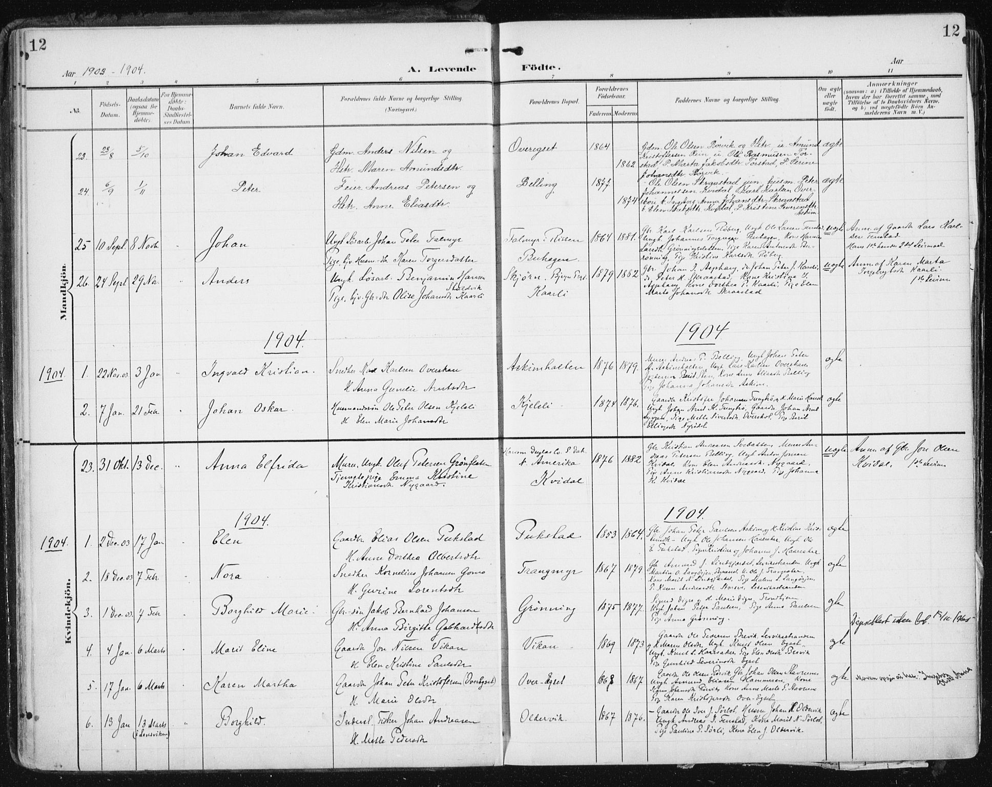 Ministerialprotokoller, klokkerbøker og fødselsregistre - Sør-Trøndelag, SAT/A-1456/646/L0616: Parish register (official) no. 646A14, 1900-1918, p. 12