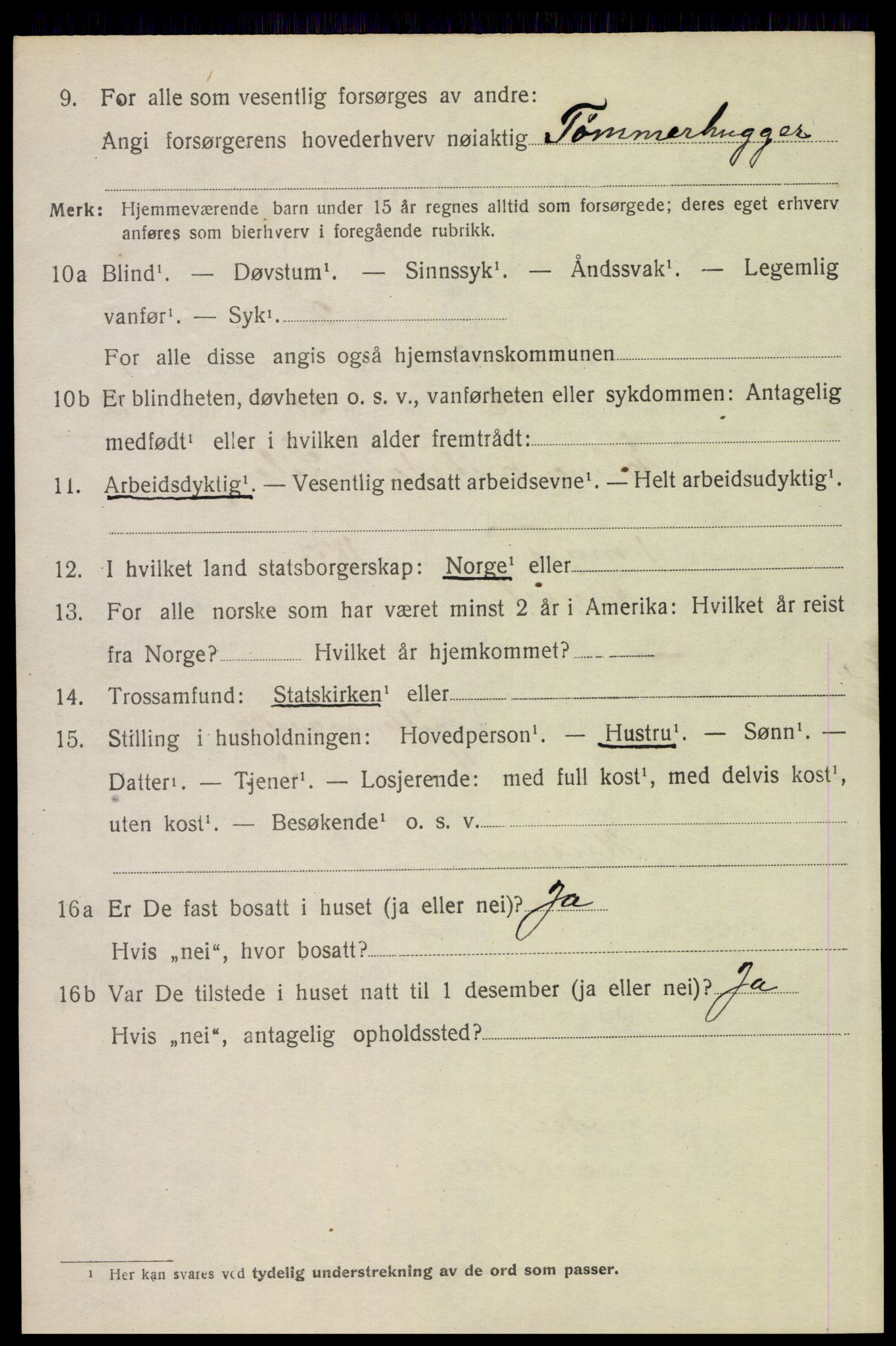 SAH, 1920 census for Trysil, 1920, p. 3078