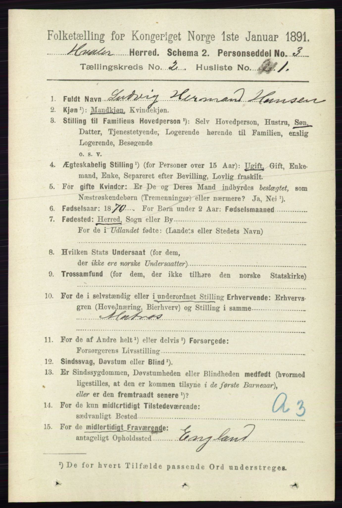 RA, 1891 census for 0111 Hvaler, 1891, p. 1007