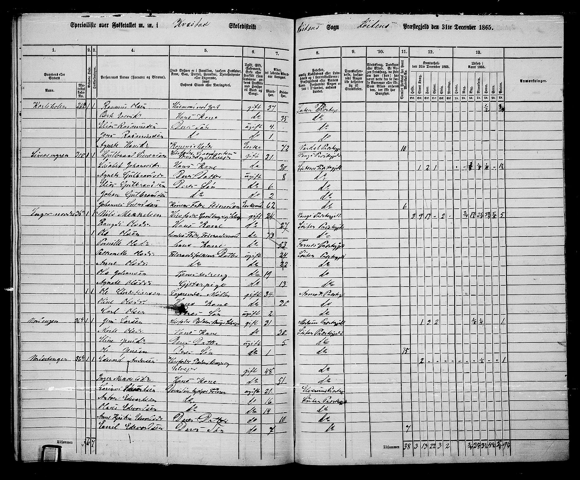 RA, 1865 census for Løten, 1865, p. 177