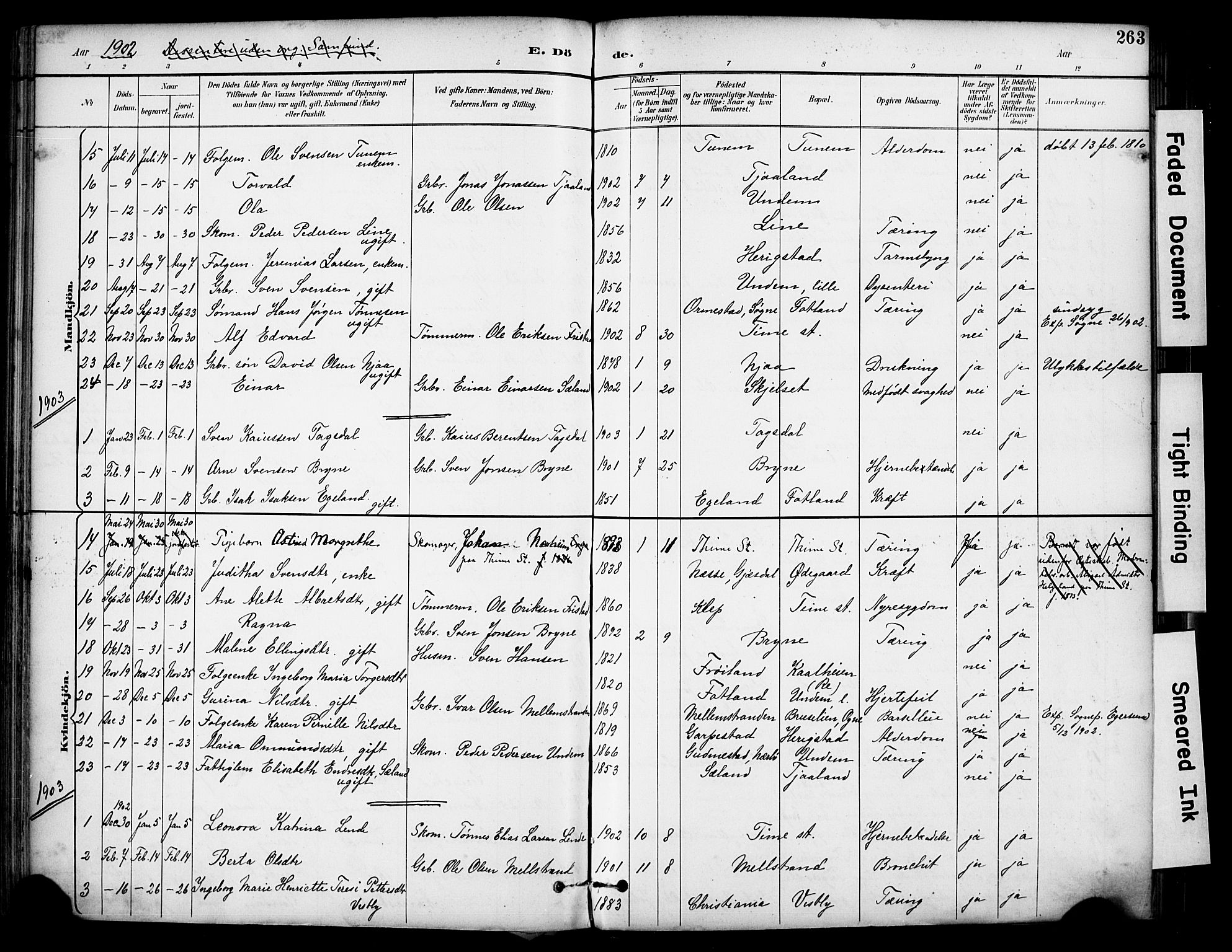 Lye sokneprestkontor, SAST/A-101794/001/30BA/L0011: Parish register (official) no. A 9, 1893-1903, p. 263