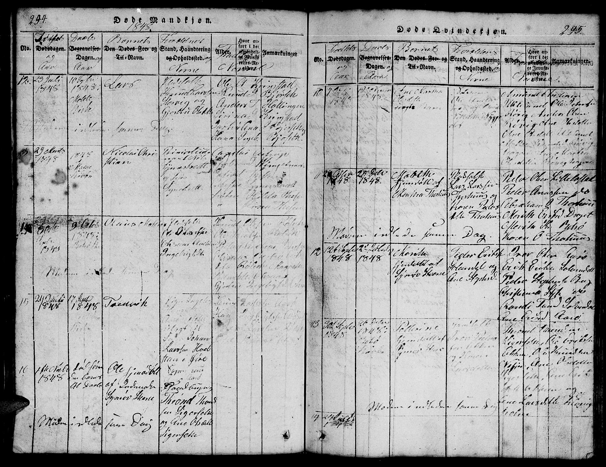 Ministerialprotokoller, klokkerbøker og fødselsregistre - Møre og Romsdal, AV/SAT-A-1454/555/L0665: Parish register (copy) no. 555C01, 1818-1868, p. 294-295