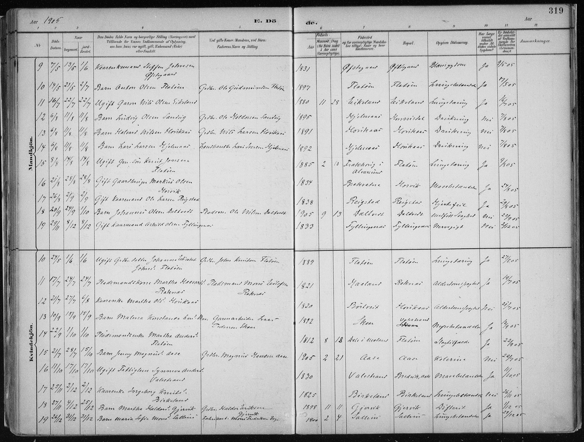 Hamre sokneprestembete, SAB/A-75501/H/Ha/Haa/Haab/L0001: Parish register (official) no. B  1, 1882-1905, p. 319
