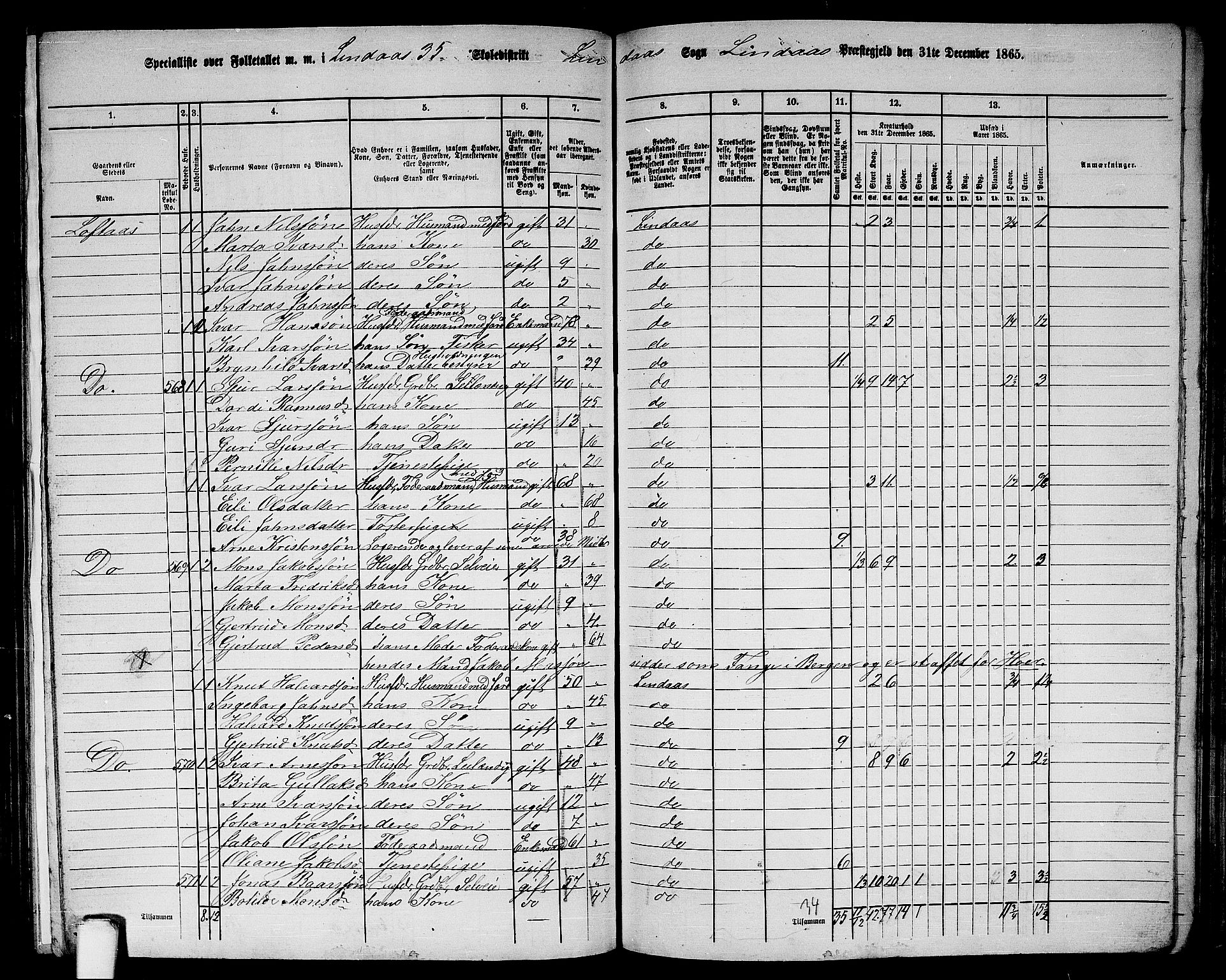 RA, 1865 census for Lindås, 1865, p. 217