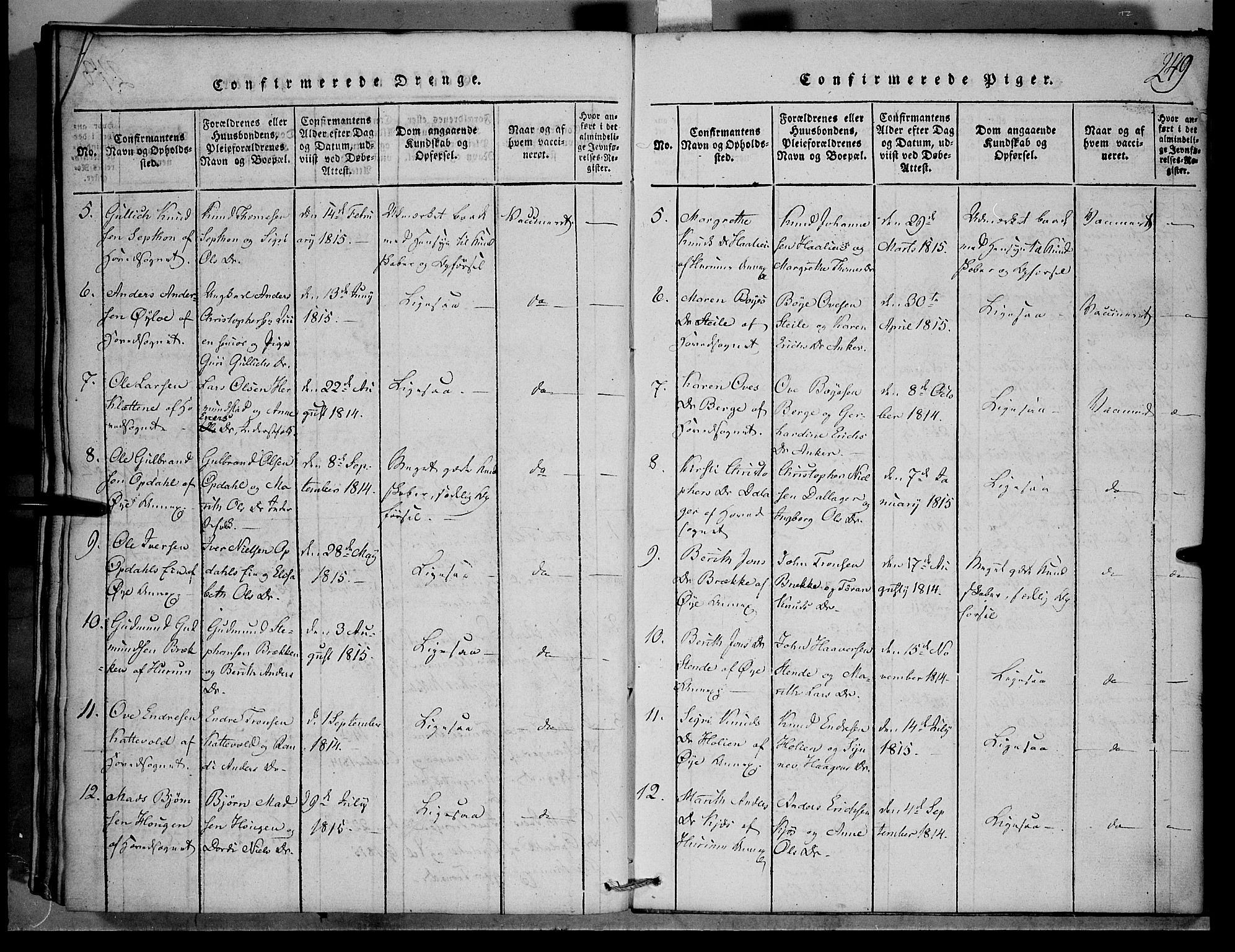 Vang prestekontor, Valdres, SAH/PREST-140/H/Hb/L0001: Parish register (copy) no. 1, 1814-1820, p. 249