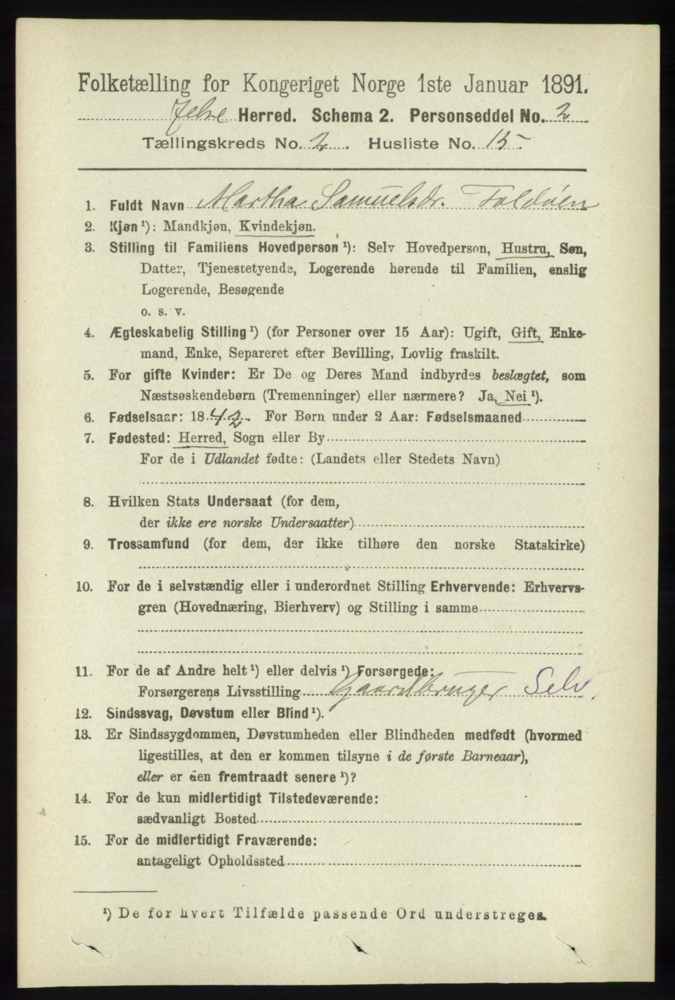 RA, 1891 census for 1138 Jelsa, 1891, p. 321