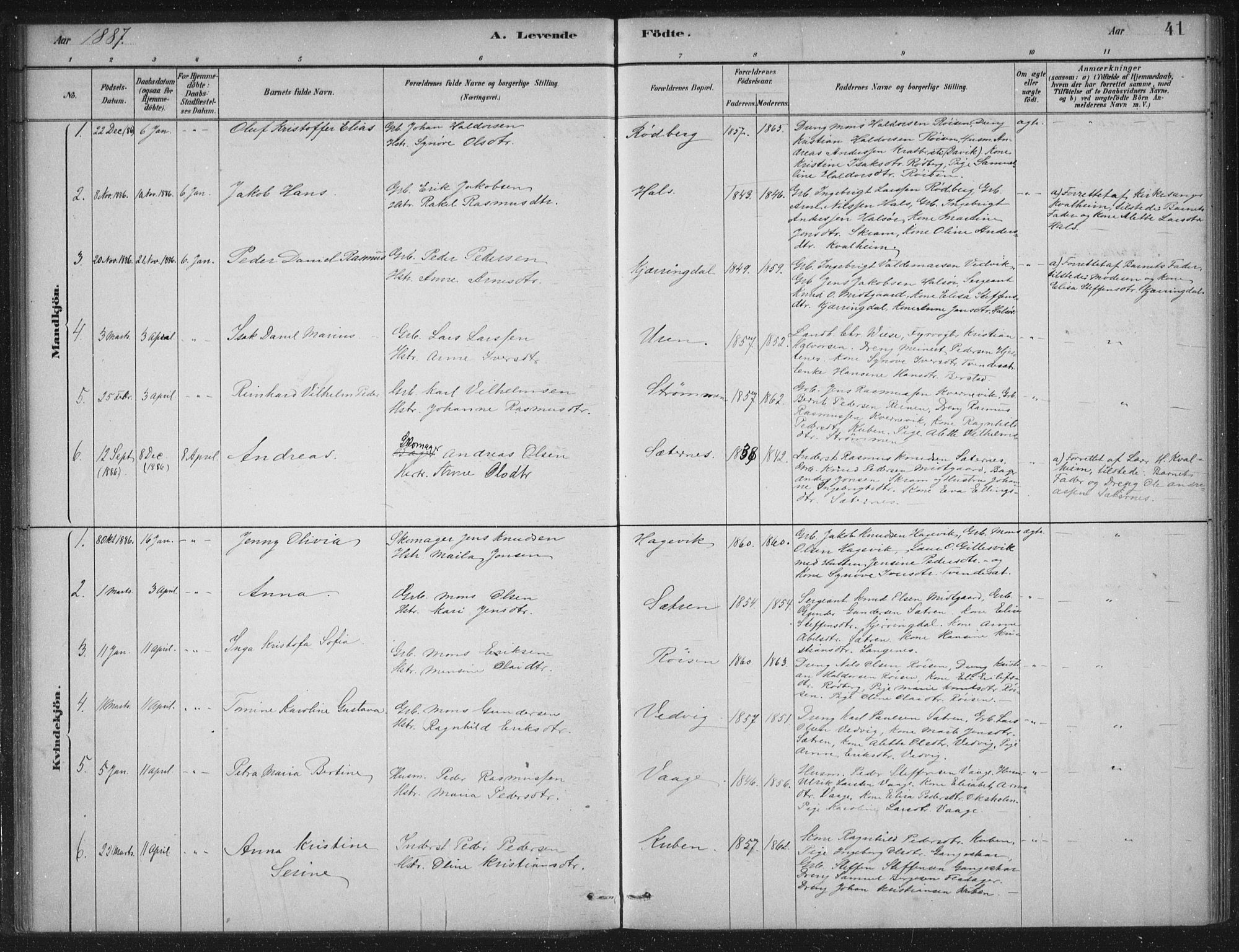 Selje sokneprestembete, AV/SAB-A-99938/H/Ha/Haa/Haac/L0001: Parish register (official) no. C  1, 1881-1888, p. 41