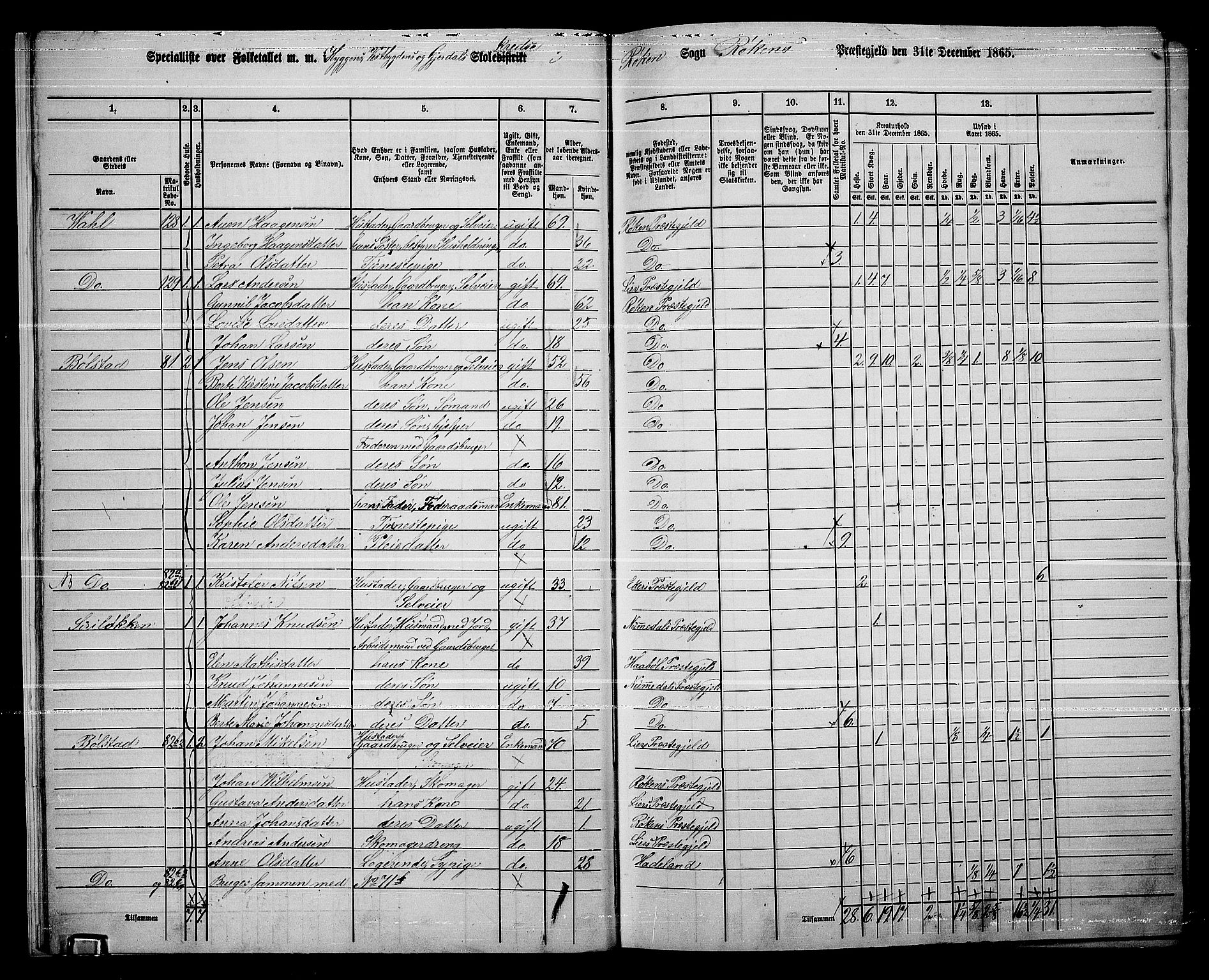 RA, 1865 census for Røyken, 1865, p. 16