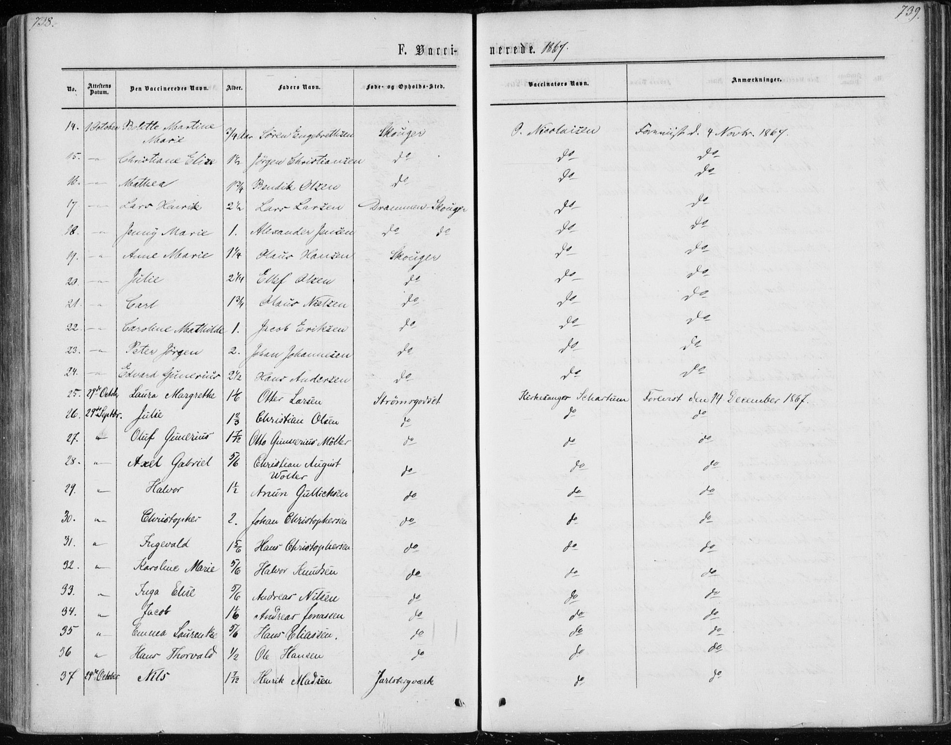 Skoger kirkebøker, AV/SAKO-A-59/F/Fa/L0004: Parish register (official) no. I 4, 1862-1872, p. 738-739