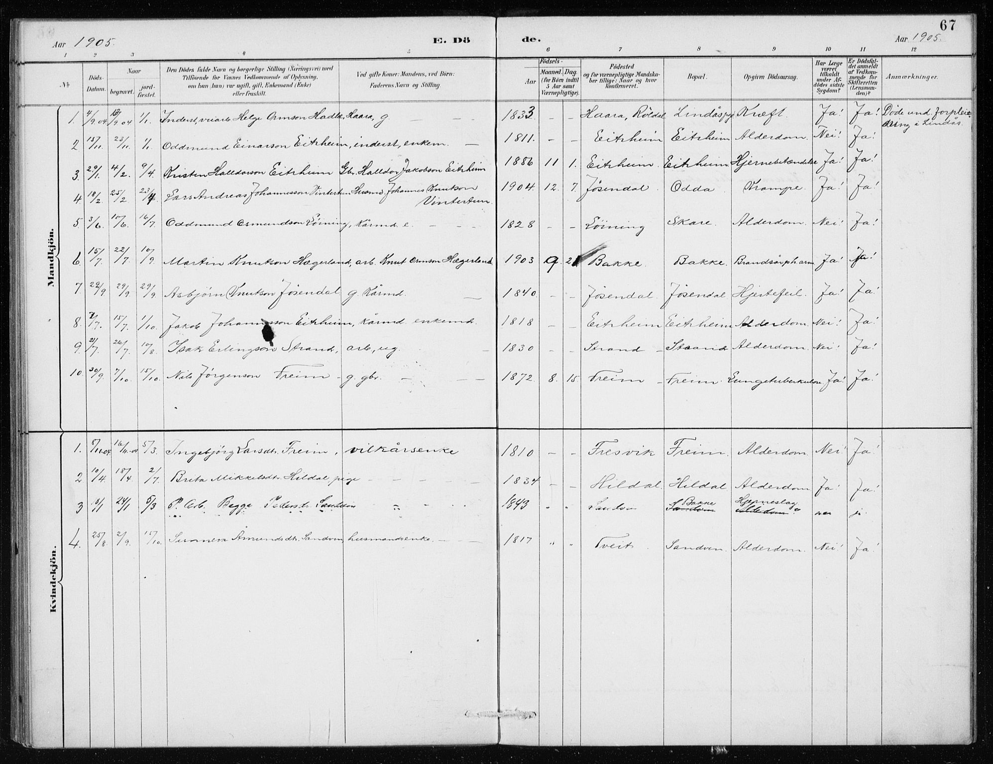 Odda Sokneprestembete, SAB/A-77201/H/Haa: Parish register (official) no. D 1, 1887-1914, p. 67