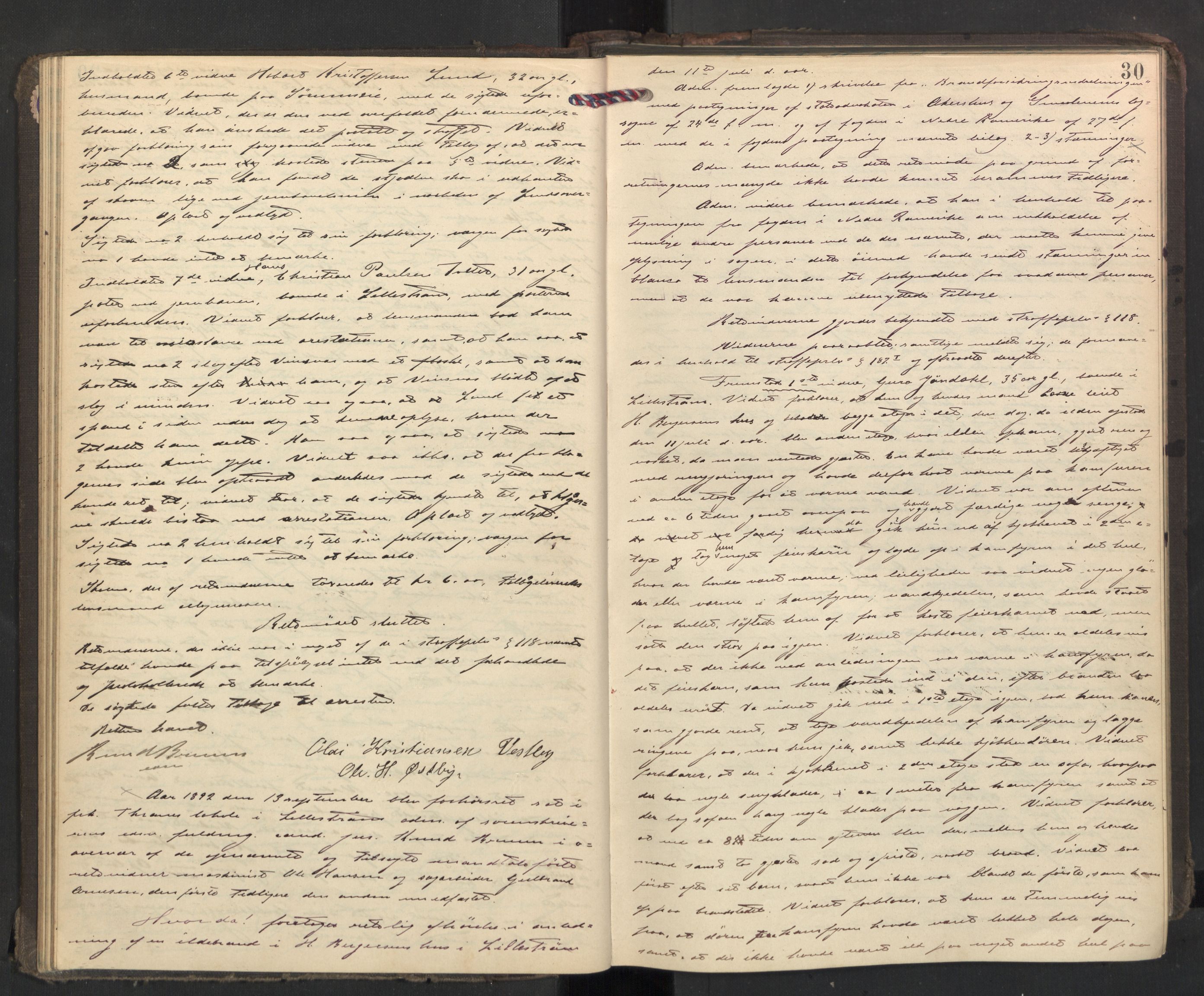 Nedre Romerike sorenskriveri, AV/SAO-A-10469/F/Fc/L0038: Ekstrarettsprotokoll, 1892-1896, p. 29b-30a