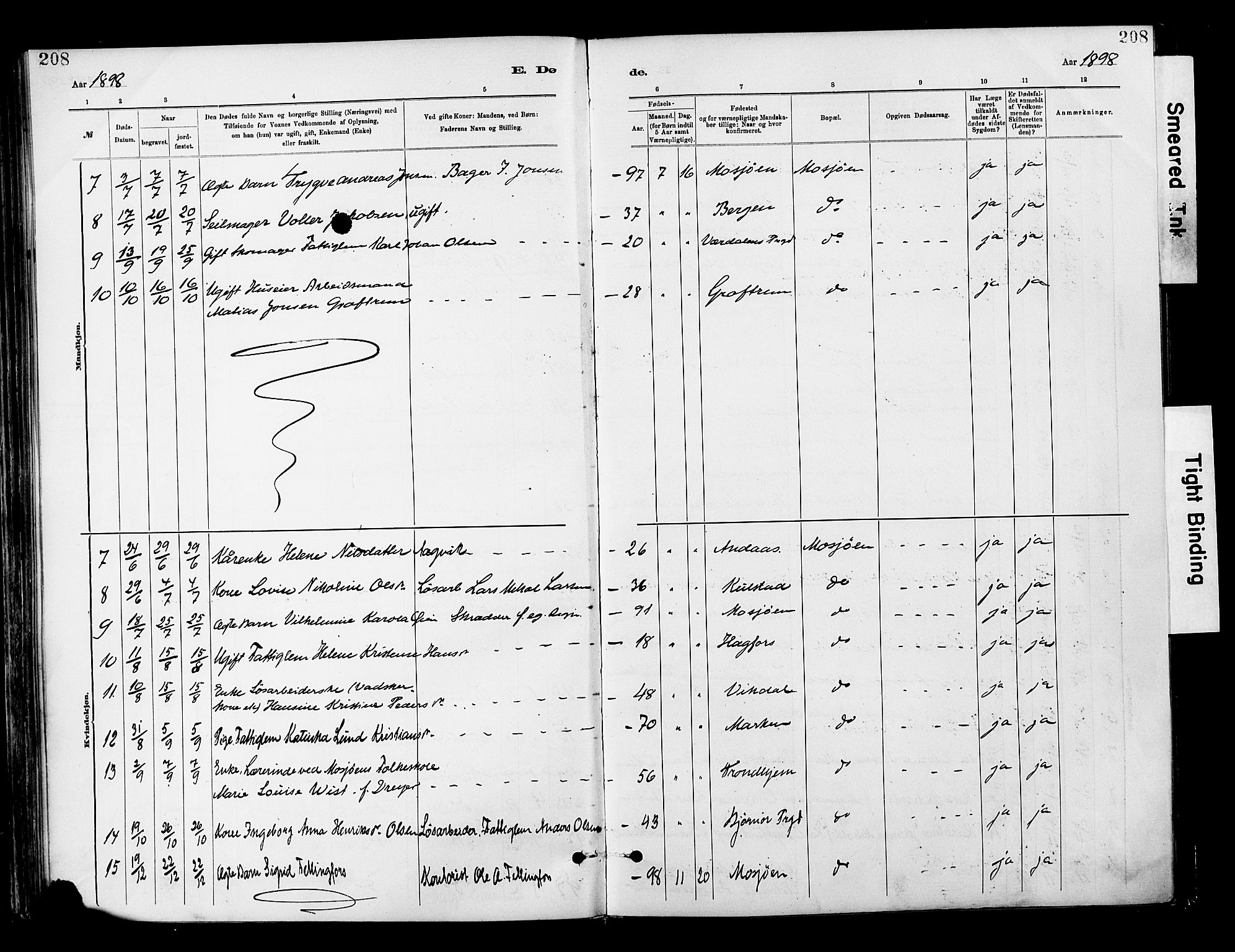 Ministerialprotokoller, klokkerbøker og fødselsregistre - Nordland, SAT/A-1459/820/L0296: Parish register (official) no. 820A17, 1880-1903, p. 208